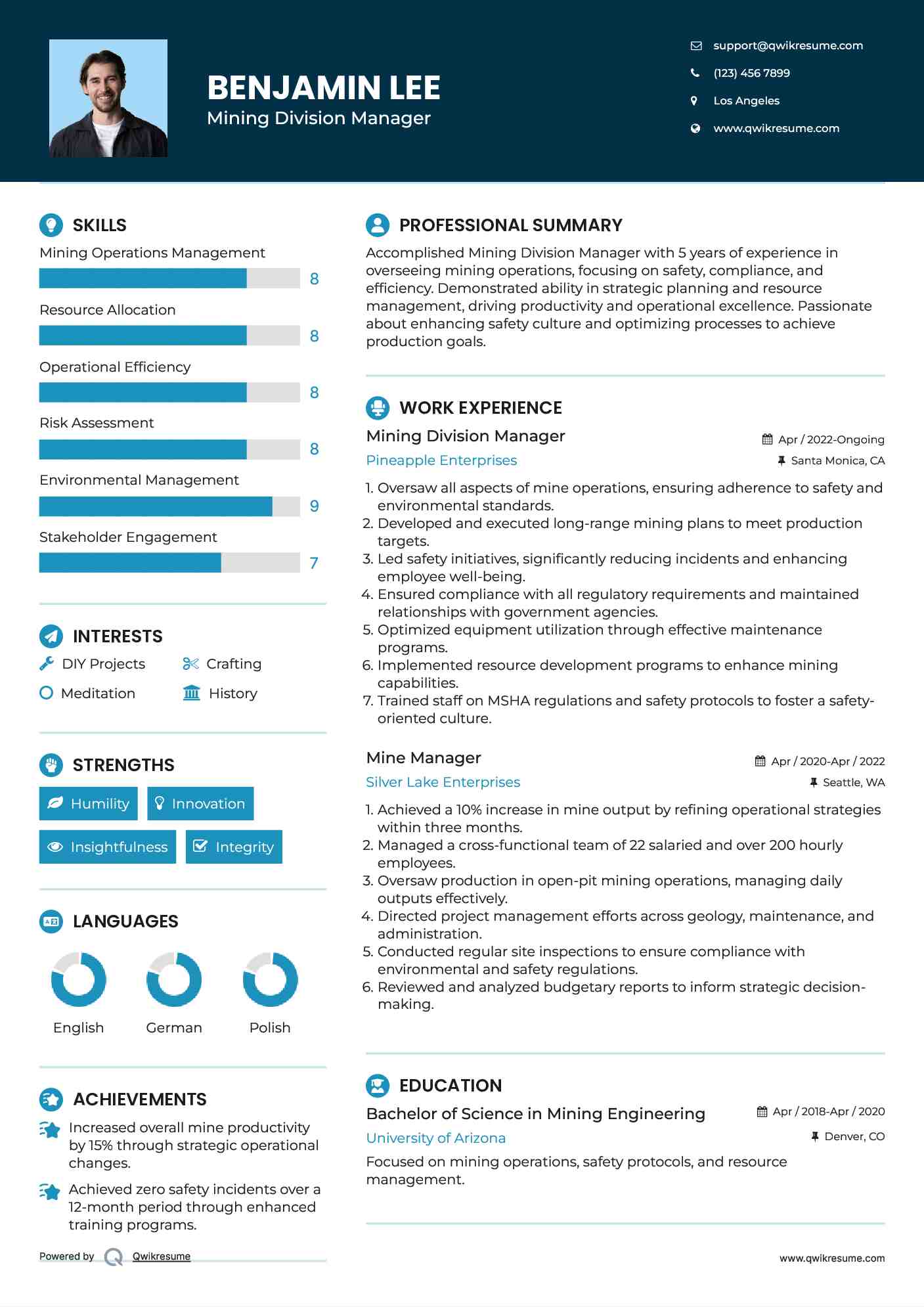 Mining Division Manager Resume Example