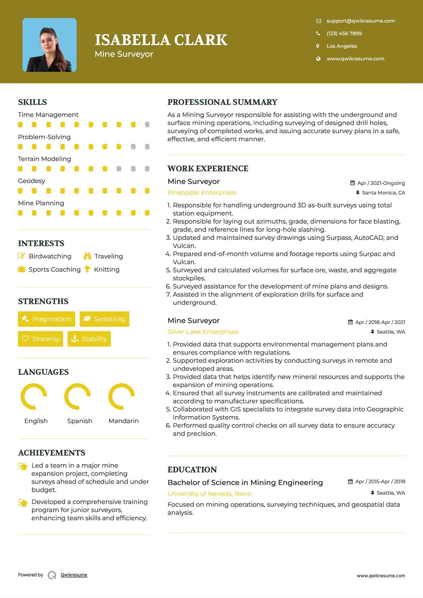 Mine Surveyor Resume Example