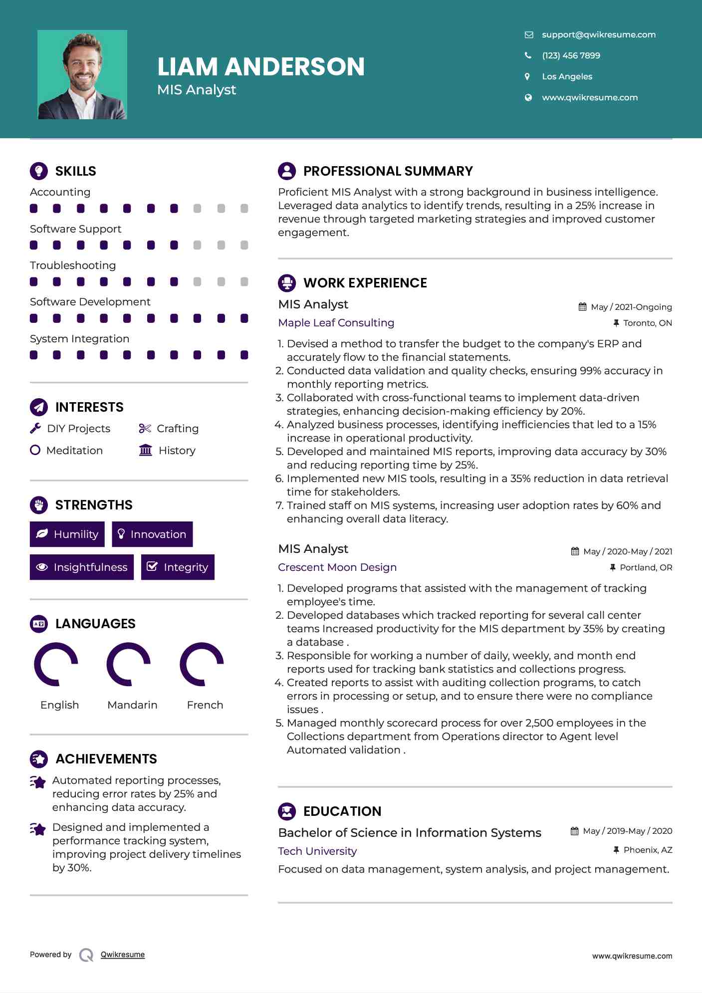 MIS Analyst Resume Model