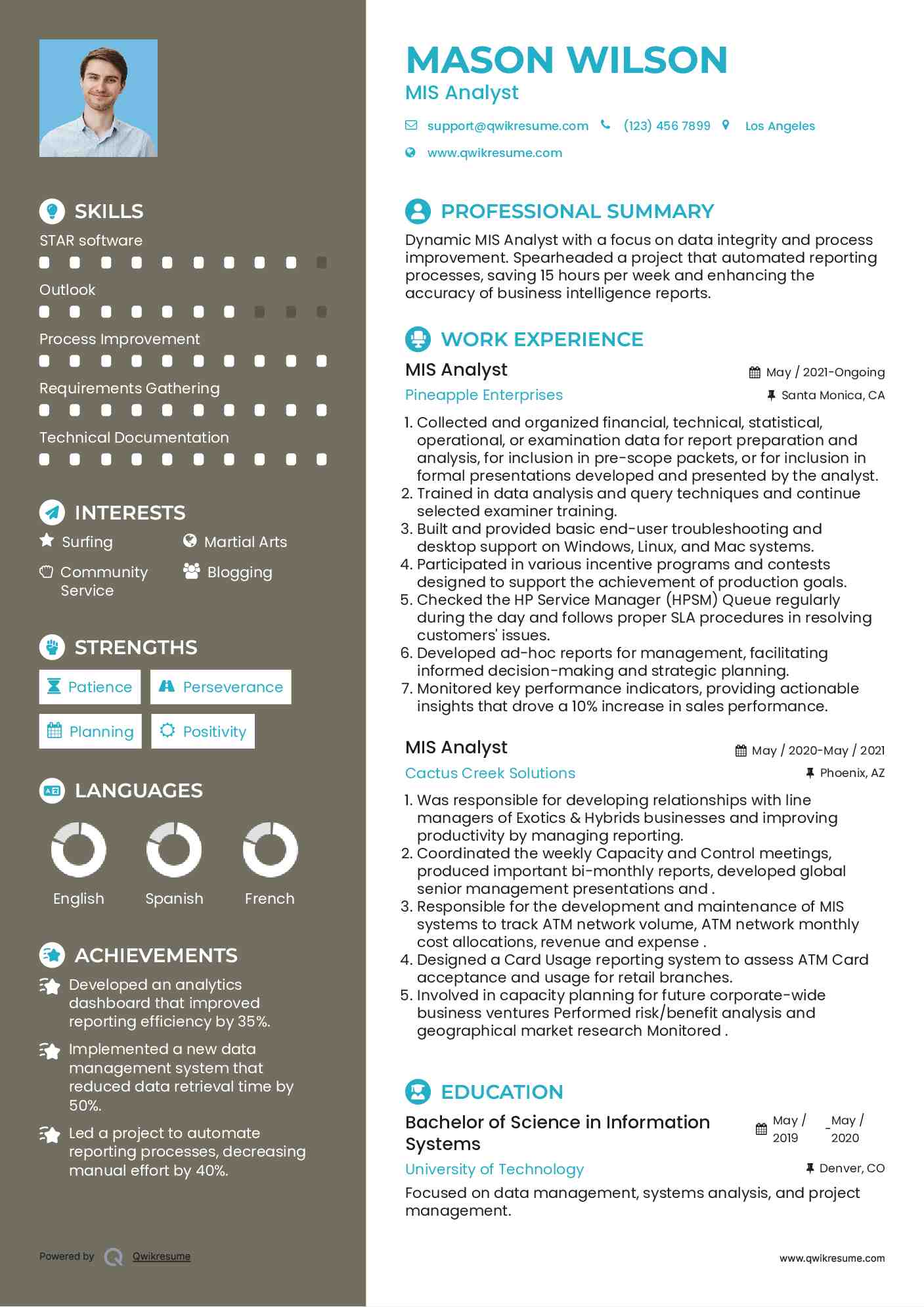 MIS Analyst Resume Example