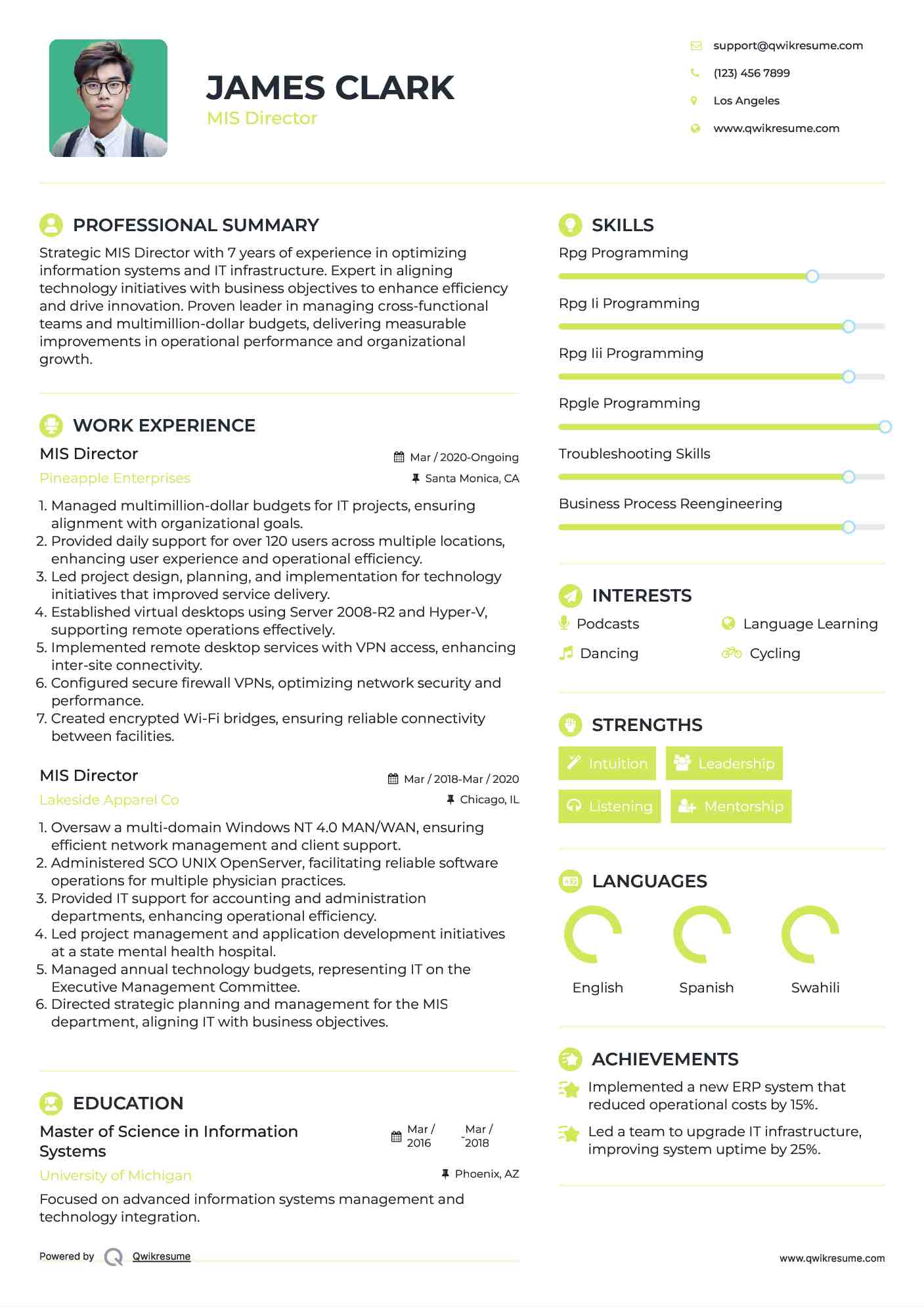 MIS Director Resume Model