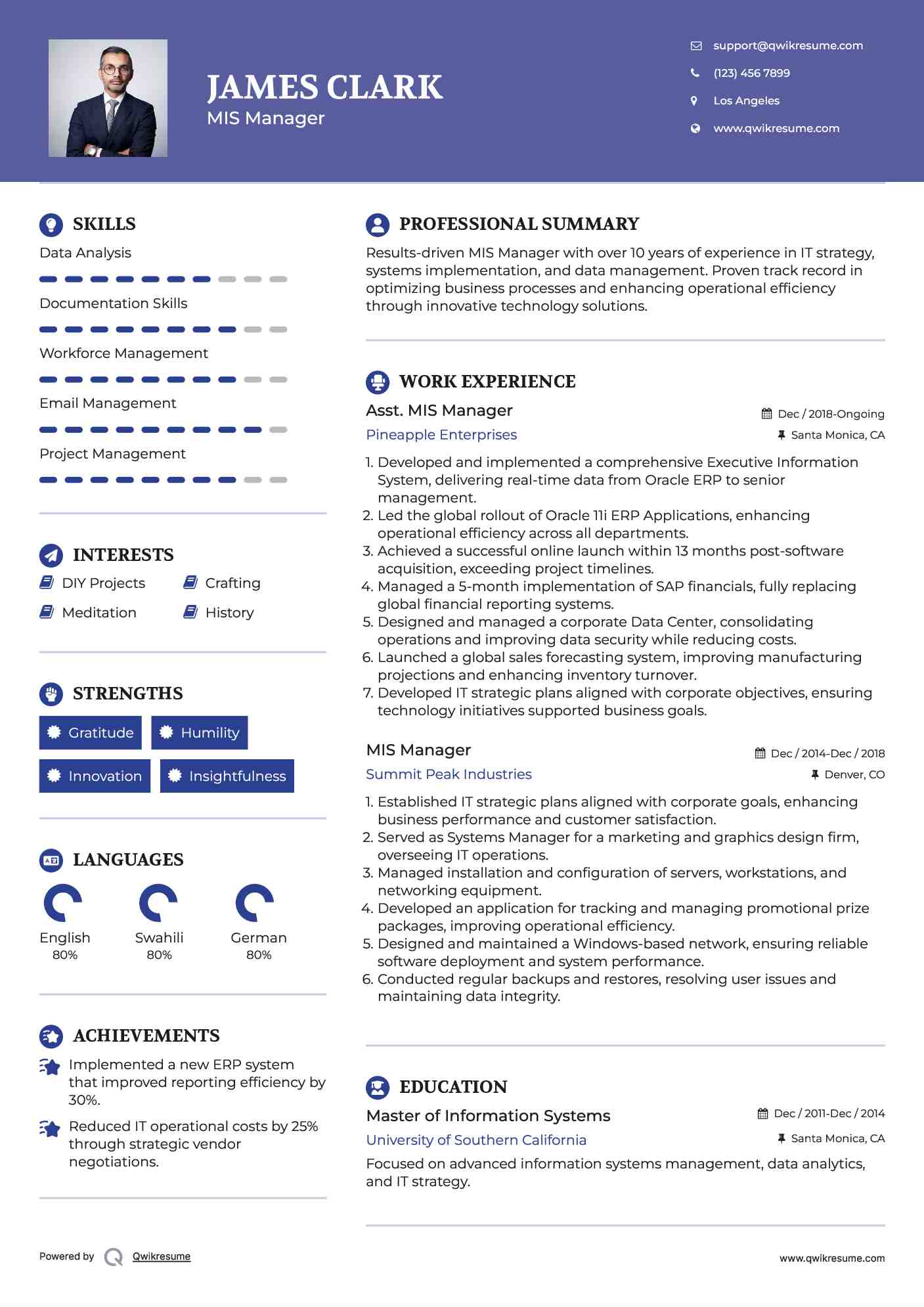 Asst. MIS Manager Resume Model