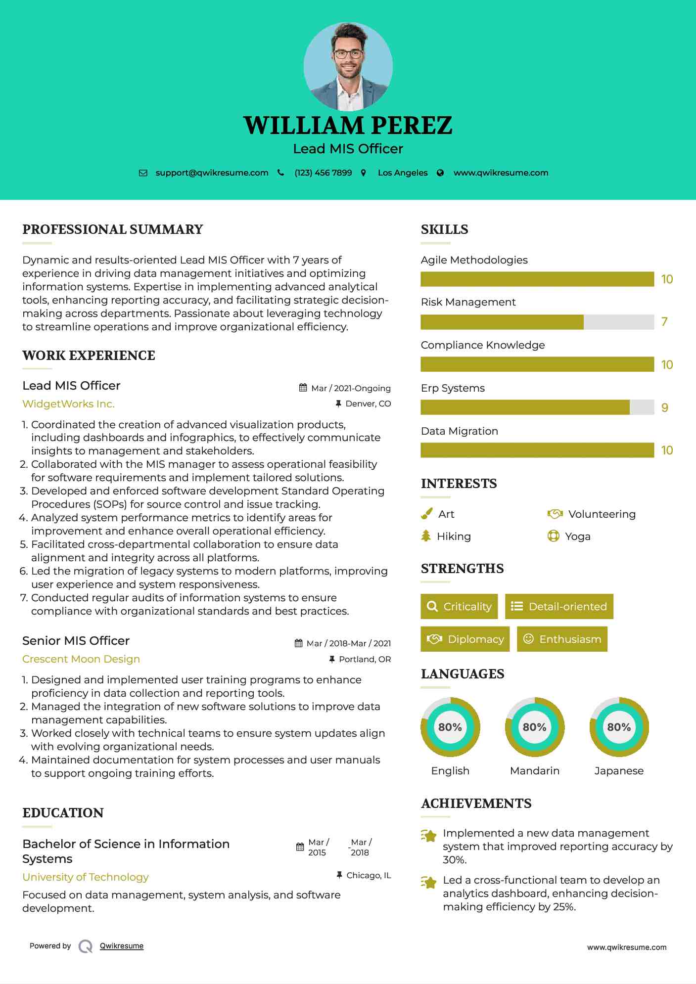 Lead MIS Officer Resume Model