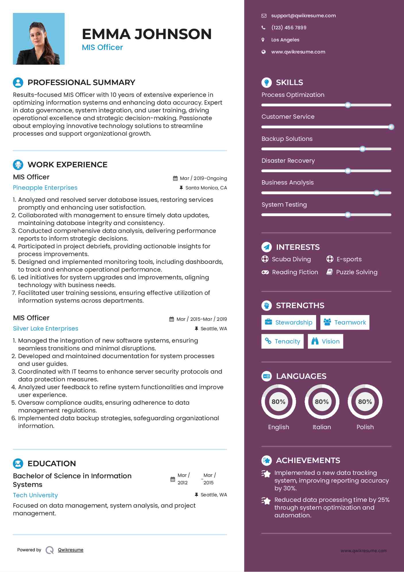 MIS Officer Resume Template