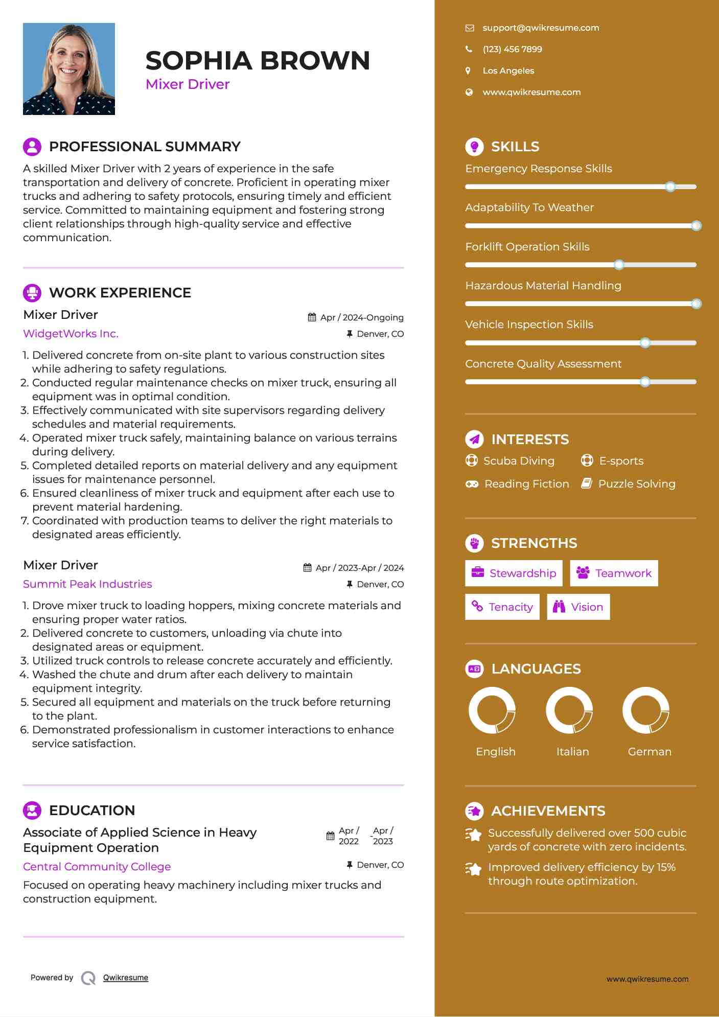 Mixer Driver Resume Sample