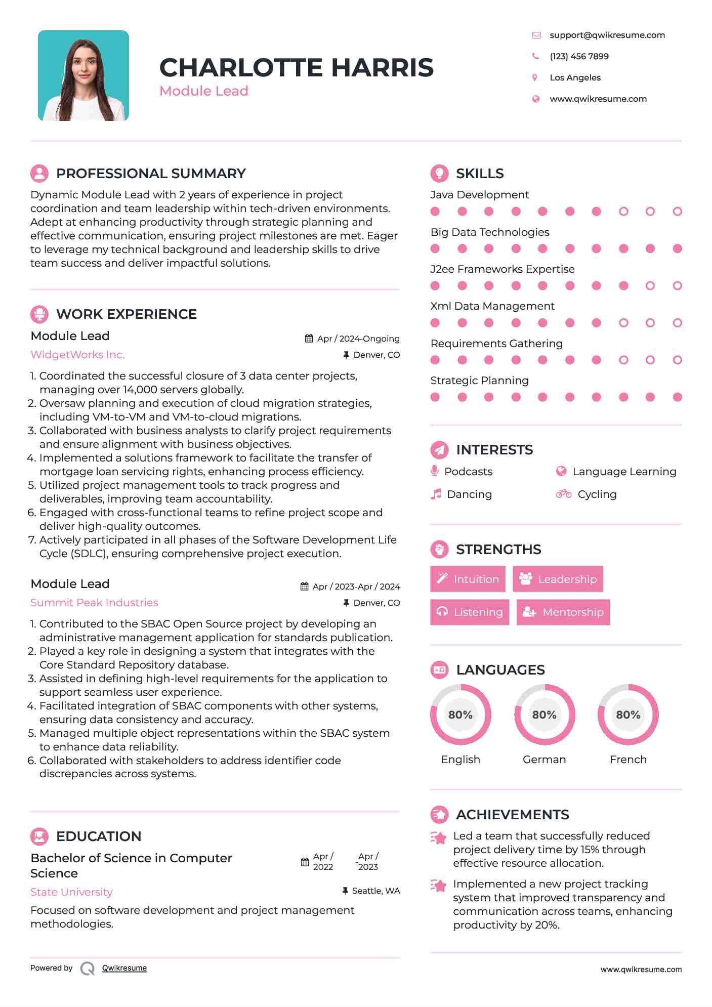 Module Lead Resume Example