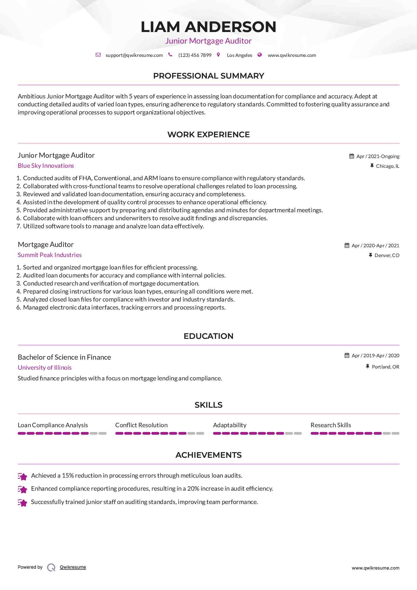 Junior Mortgage Auditor Resume Example