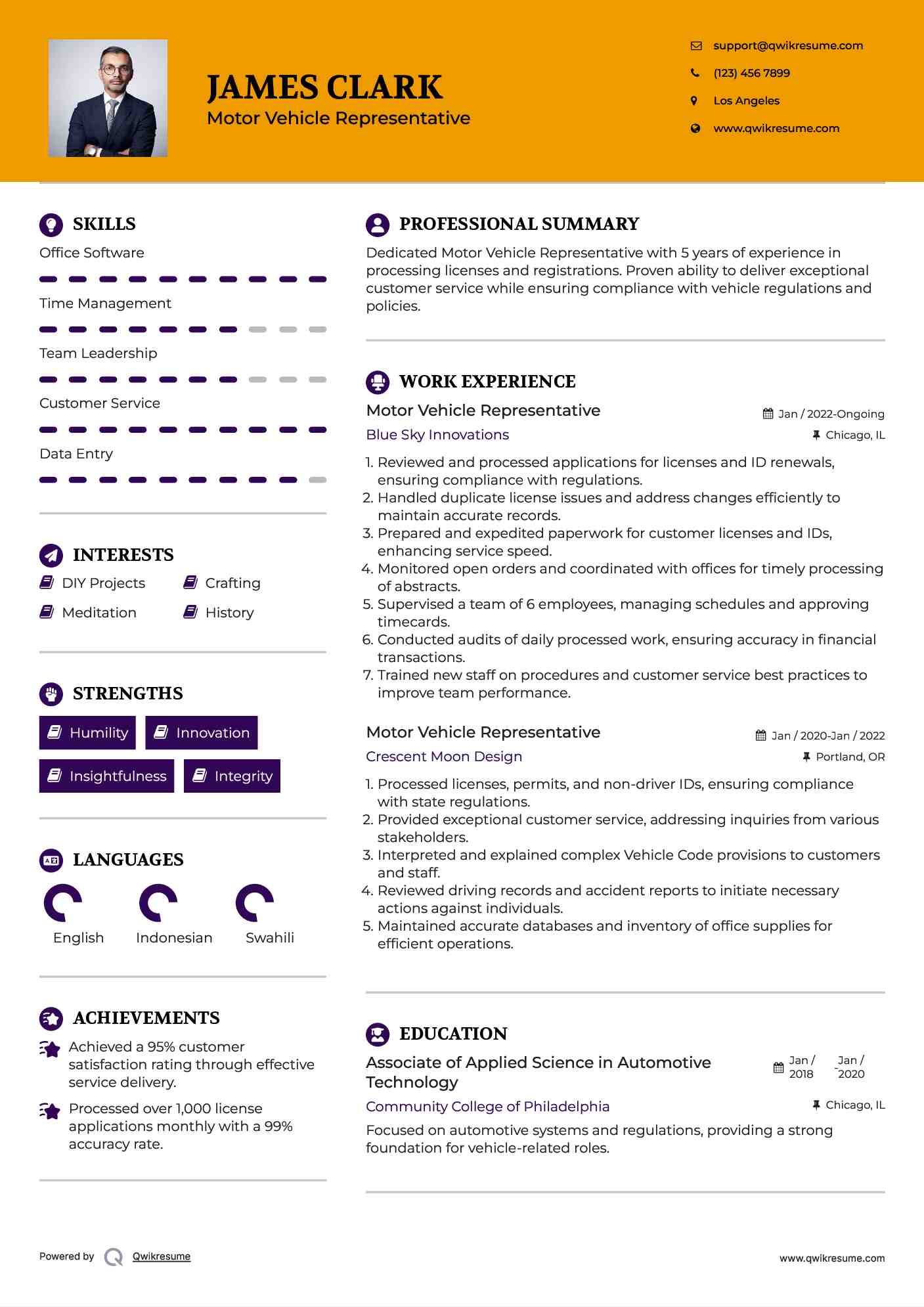 Motor Vehicle Representative Resume Model
