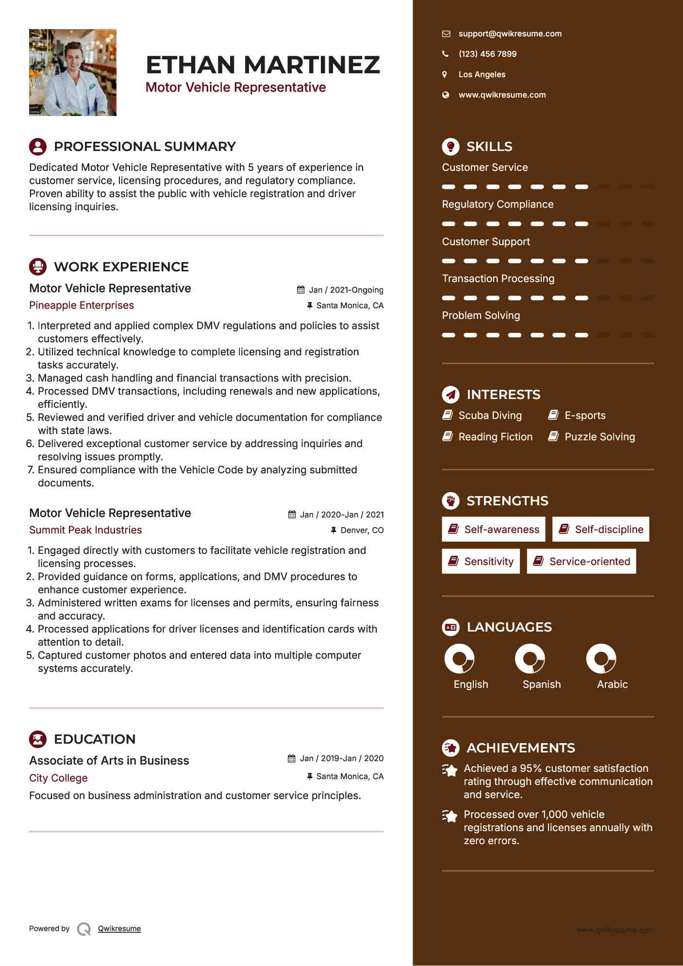 Motor Vehicle Representative Resume Model