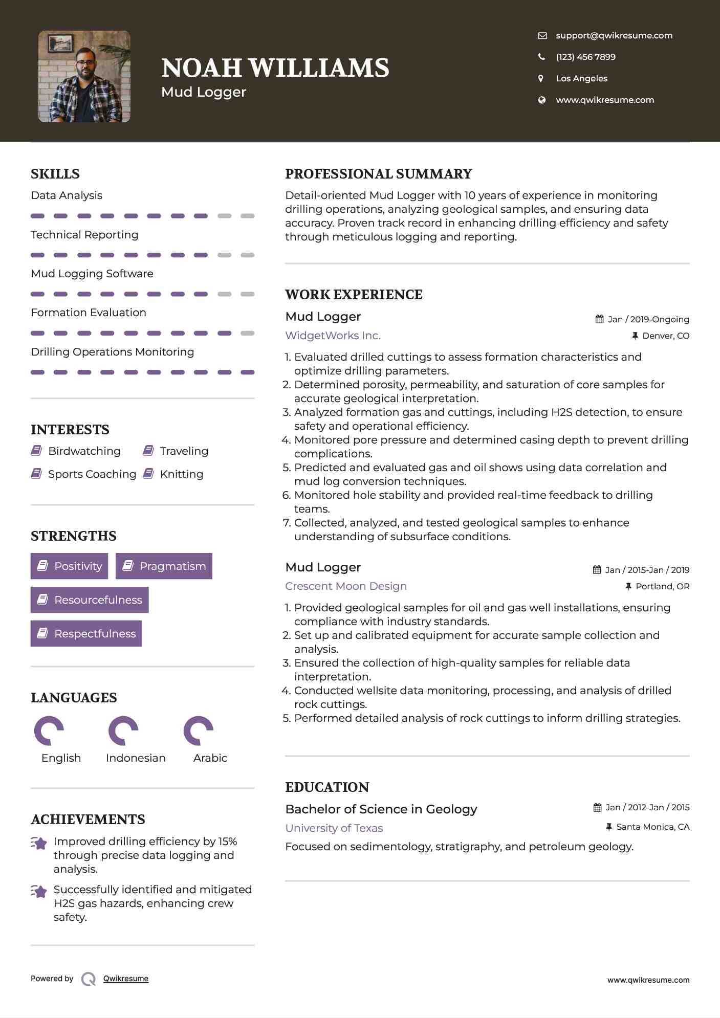 Mud Logger Resume Example