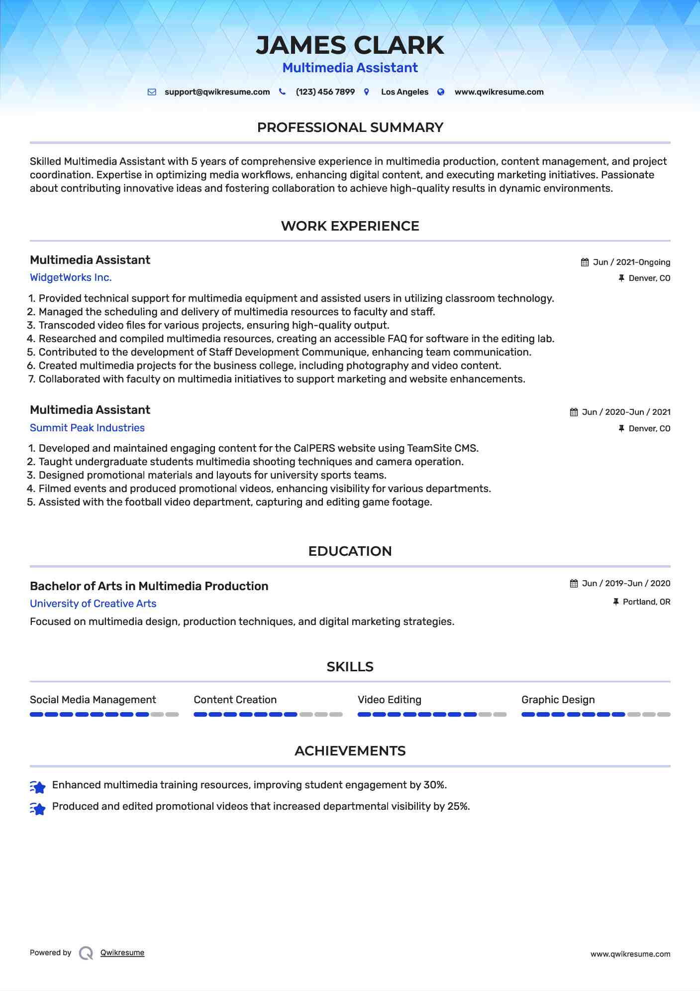 Multimedia Assistant Resume Format