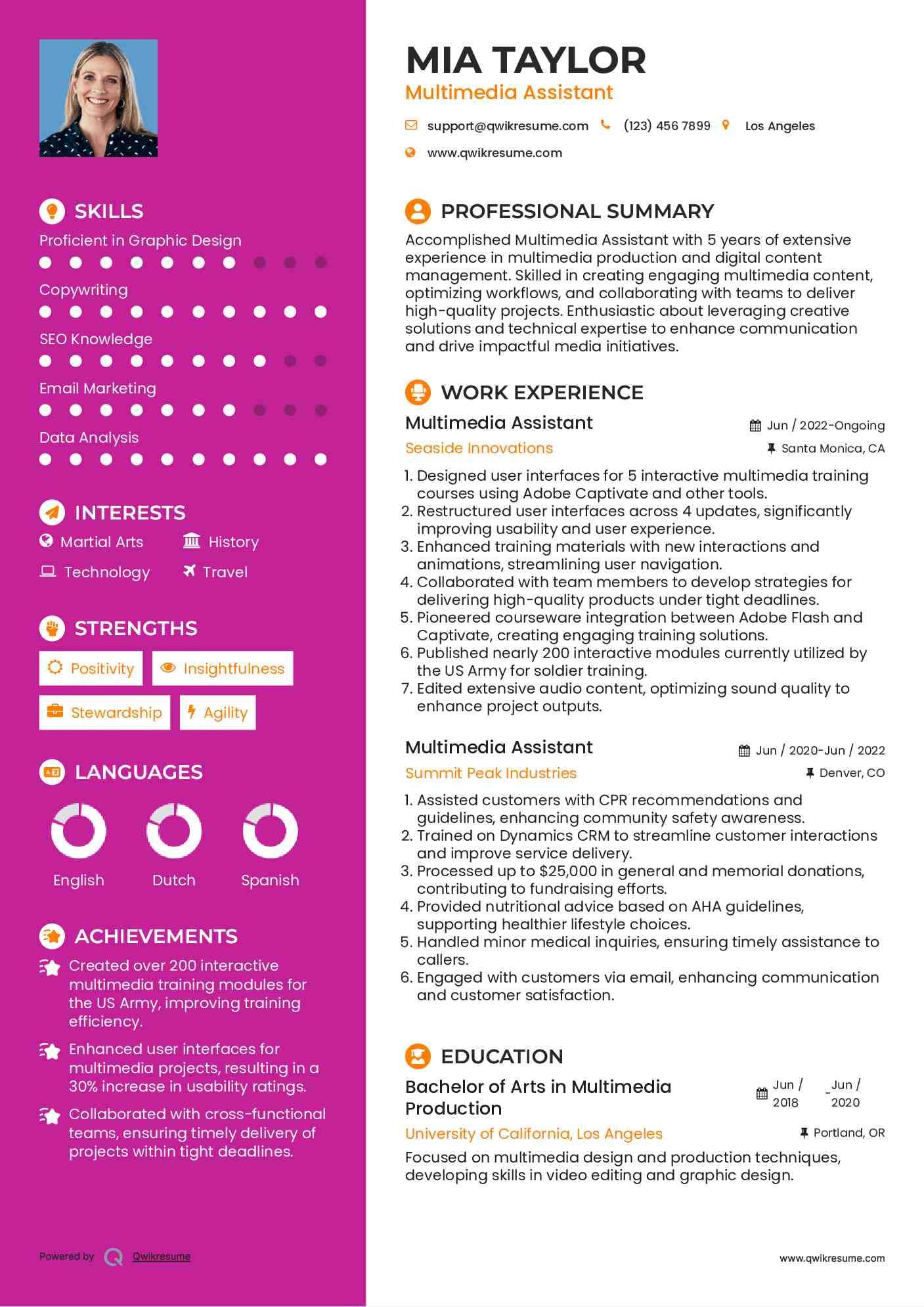 Multimedia Assistant Resume Model