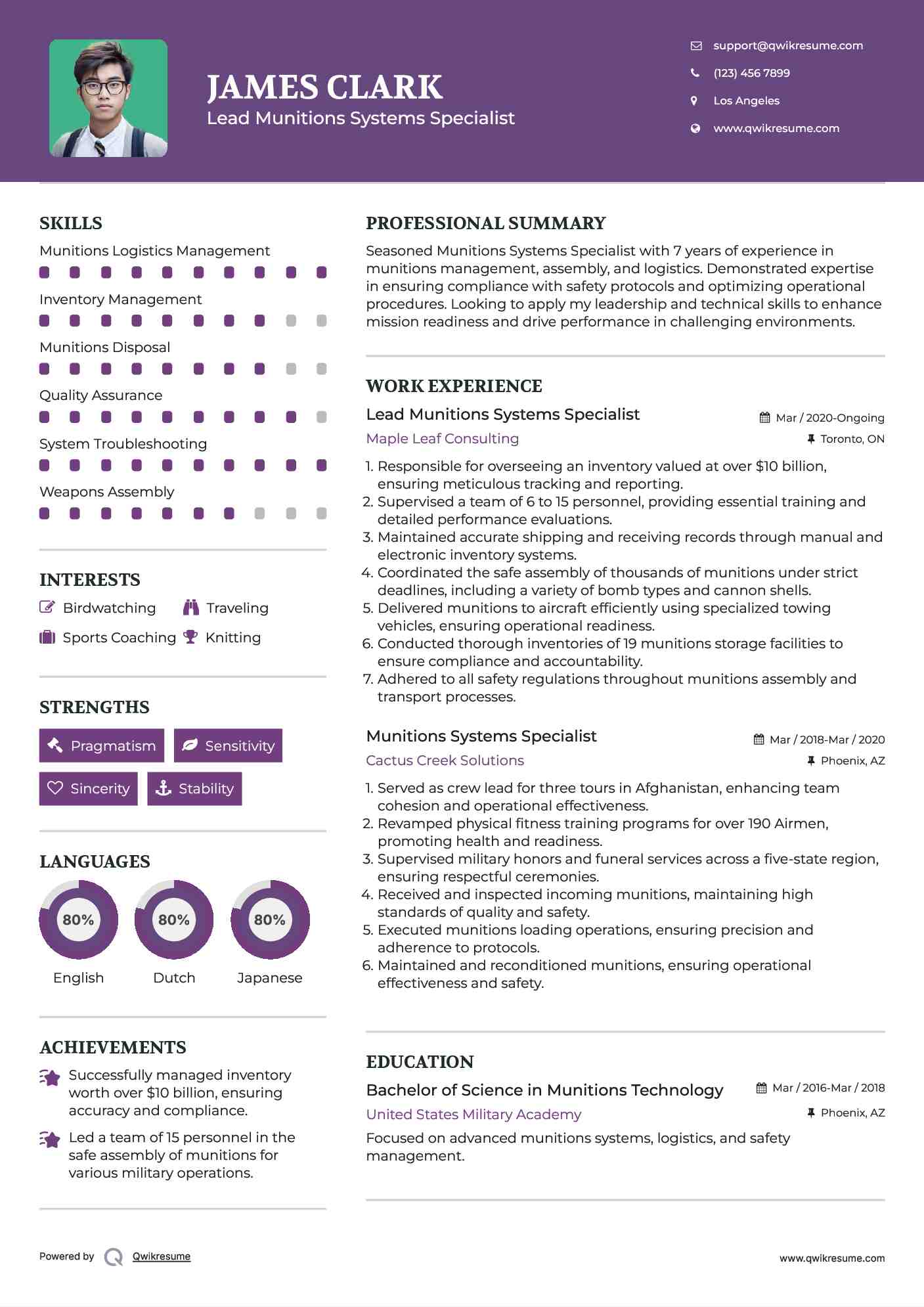 Lead Munitions Systems Specialist Resume Format