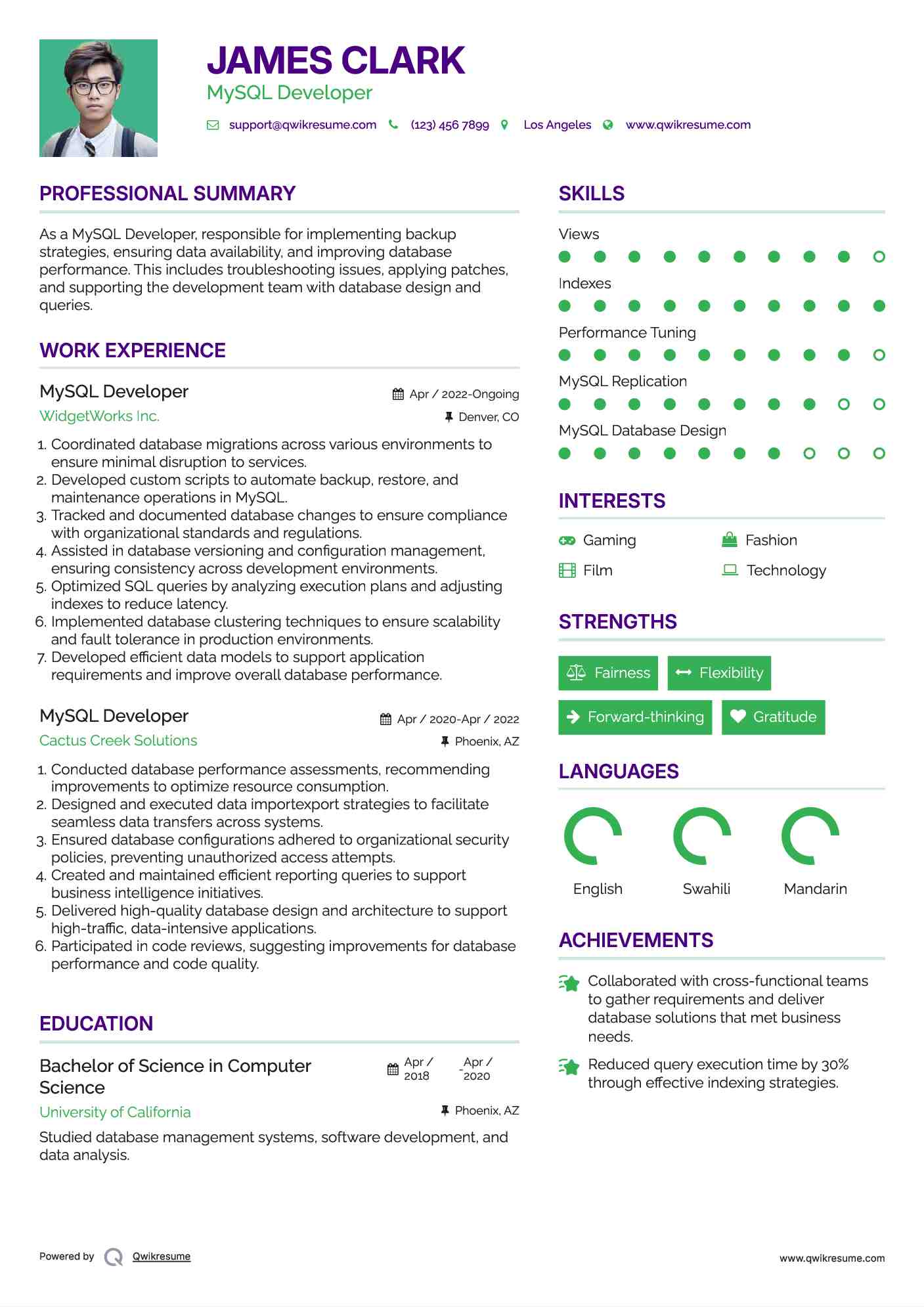 MySQL Developer Resume Format
