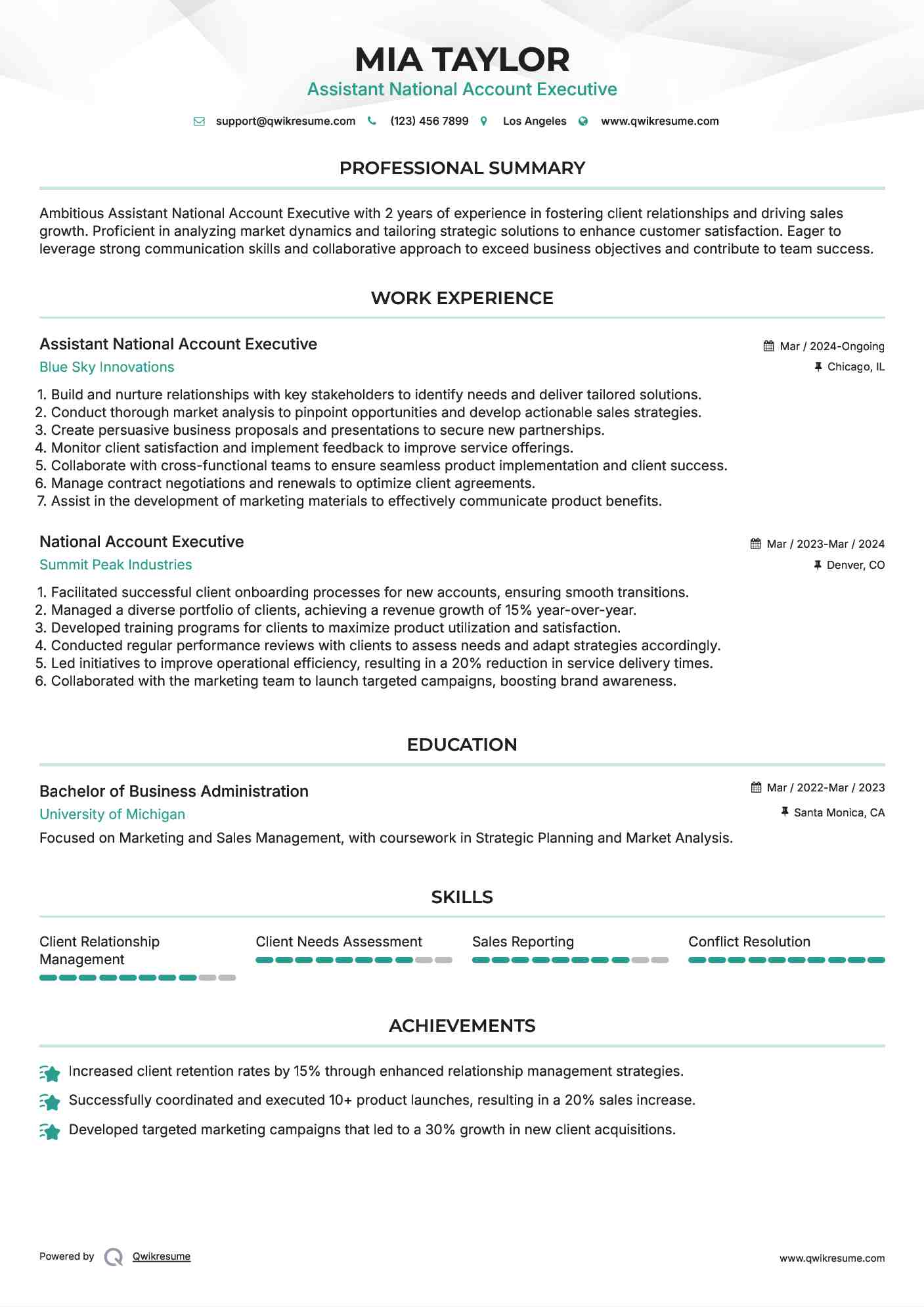 Assistant National Account Executive Resume Sample