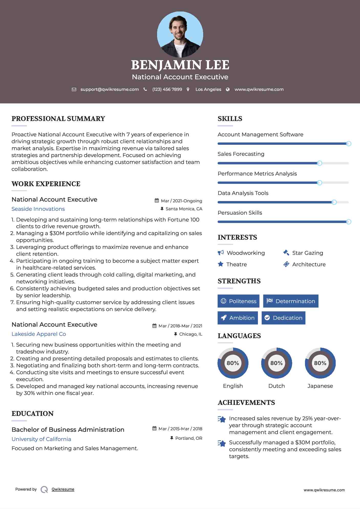 National Account Executive Resume Template