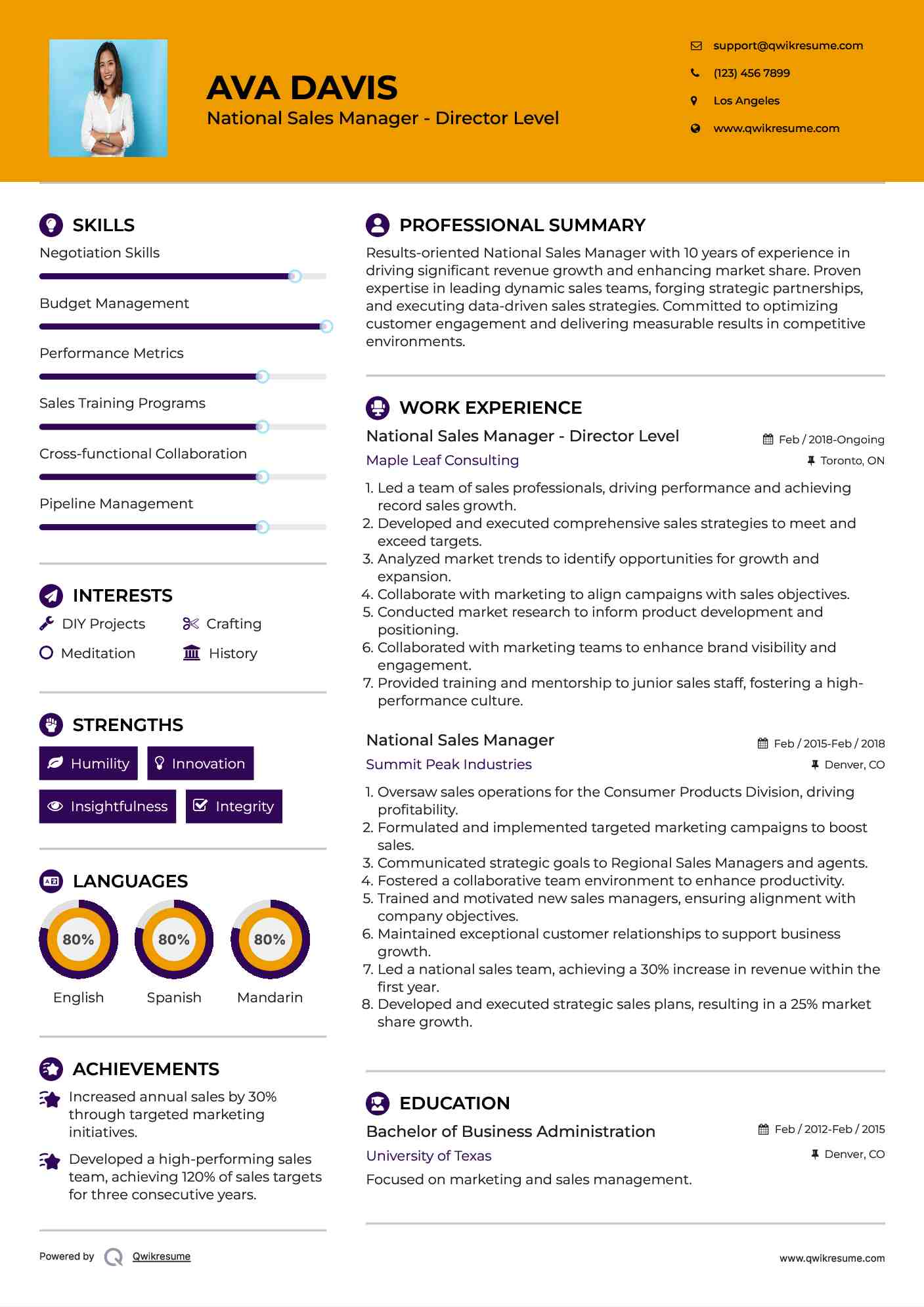 National Sales Manager - Director Level Resume Sample