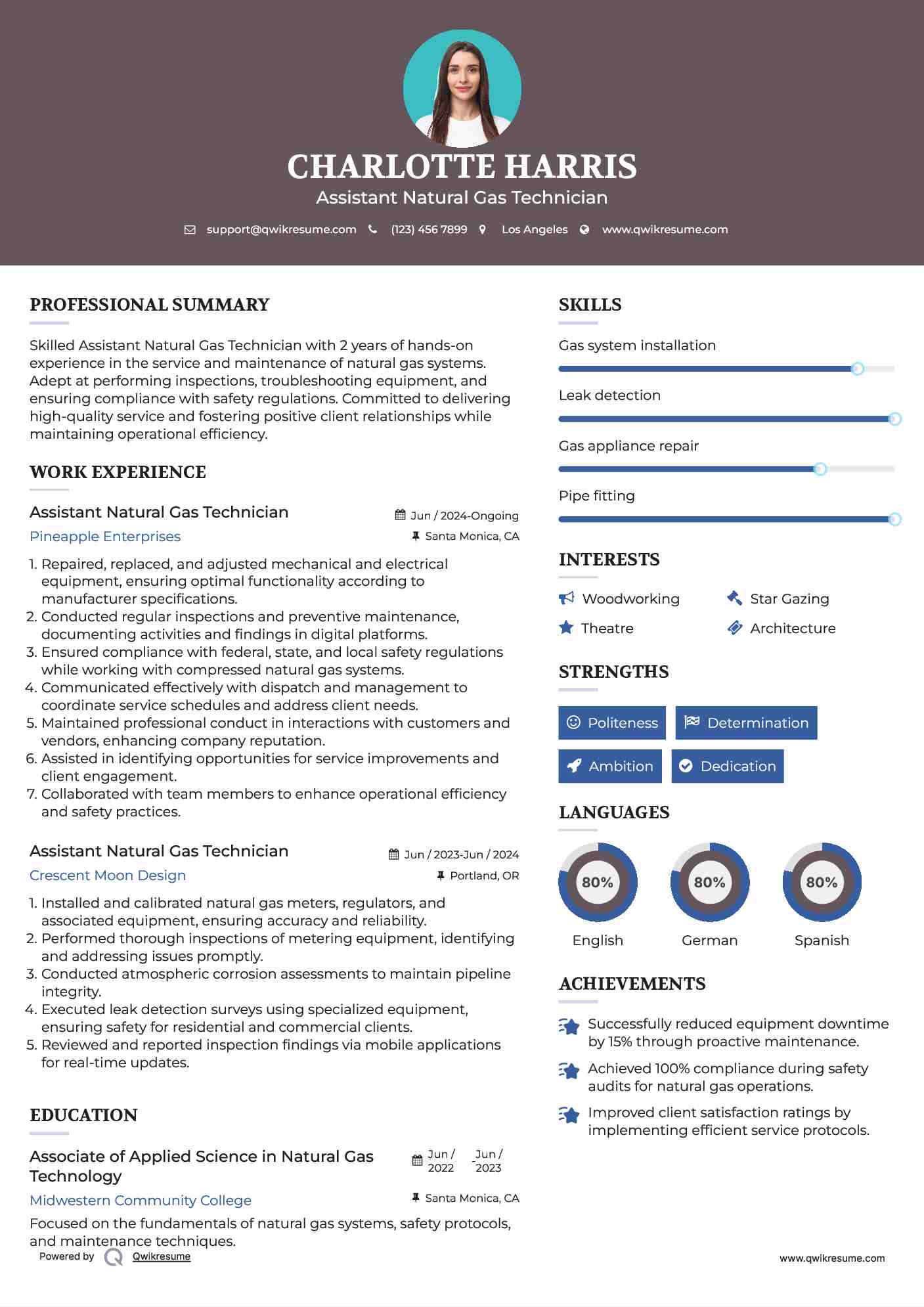 Assistant Natural Gas Technician Resume Sample