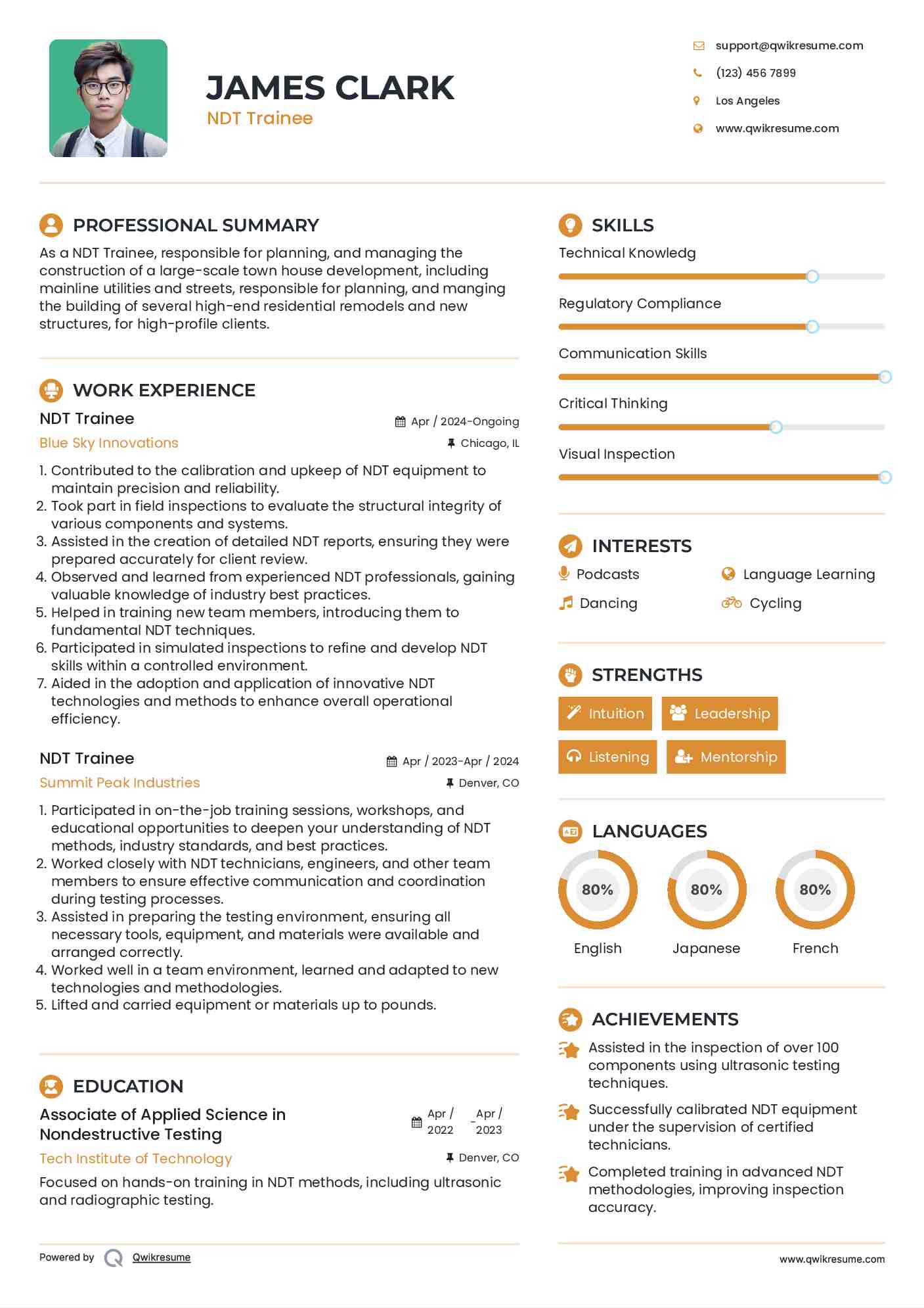 NDT Trainee Resume Model