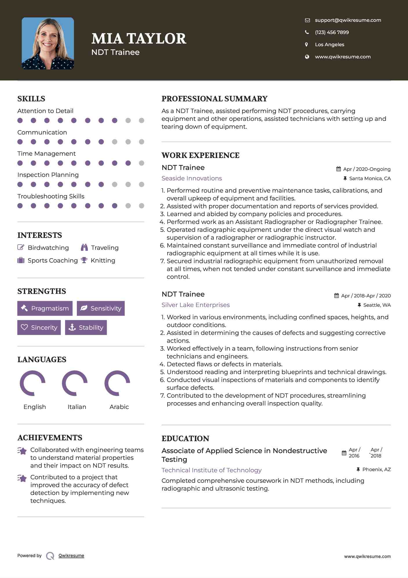 NDT Trainee Resume Example