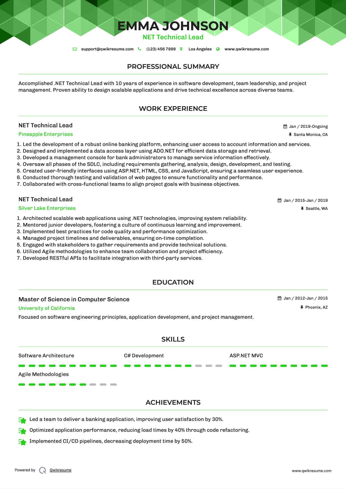 NET Technical Lead Resume Model