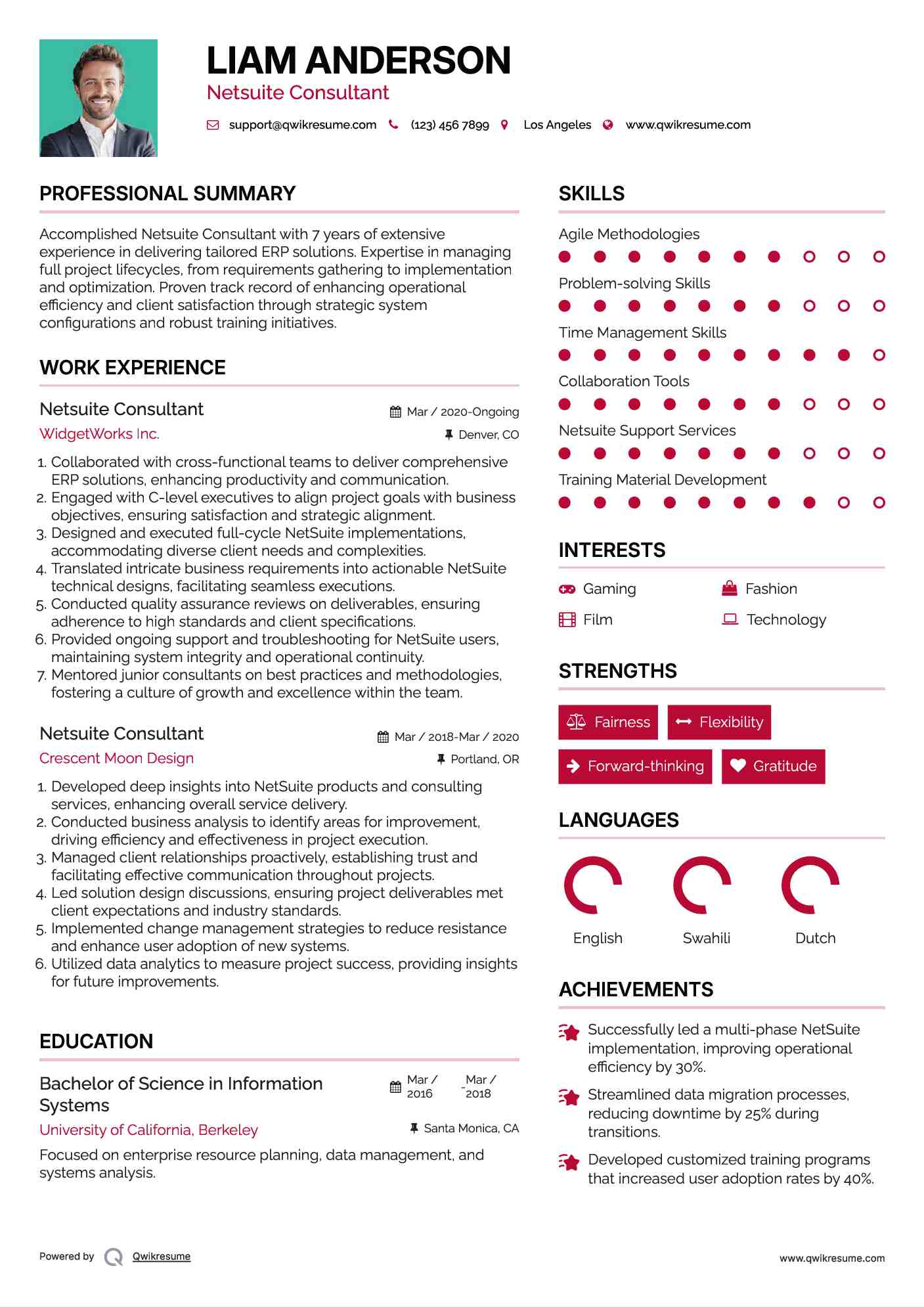 Netsuite Consultant Resume Model