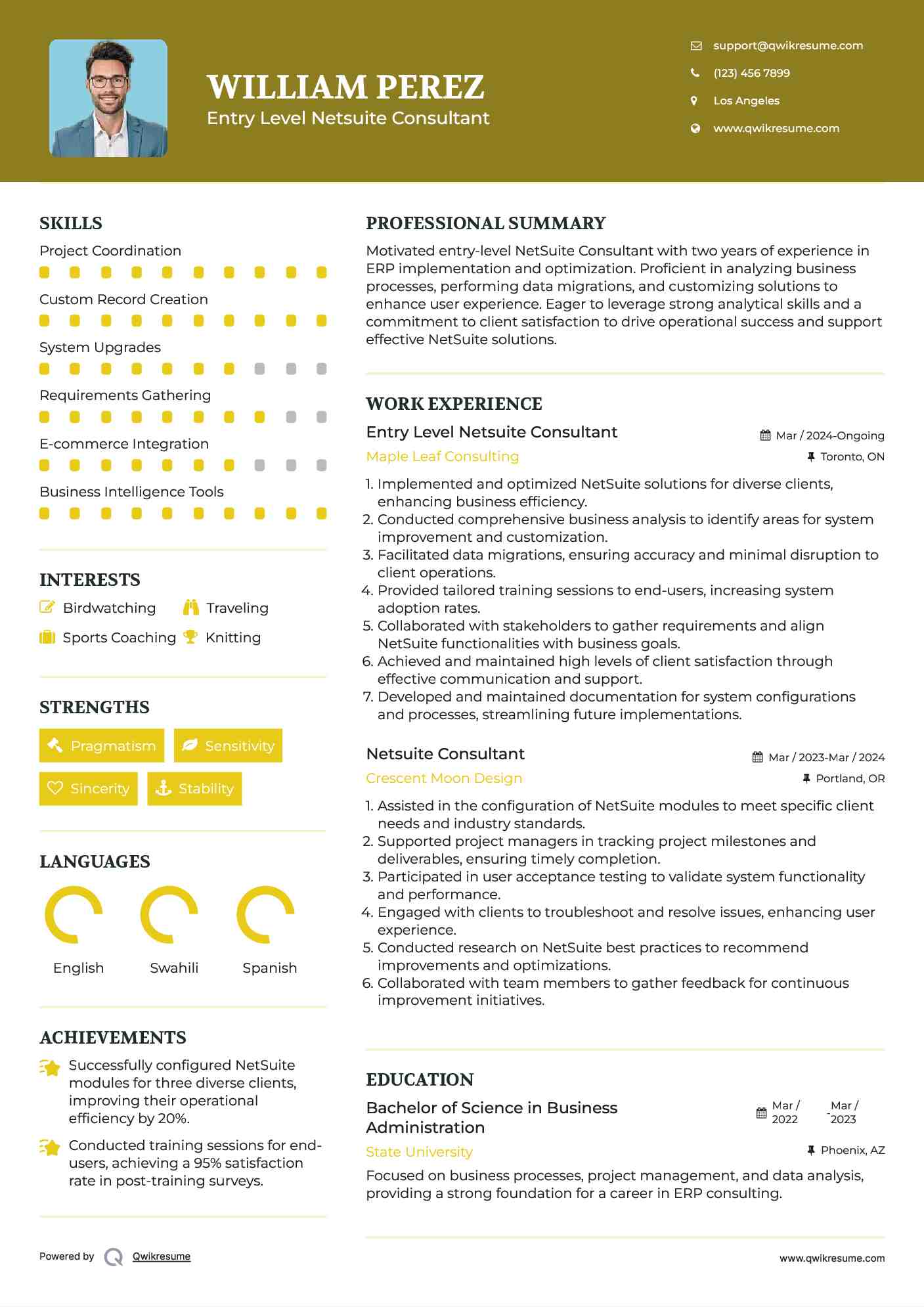 Entry Level Netsuite Consultant Resume Example