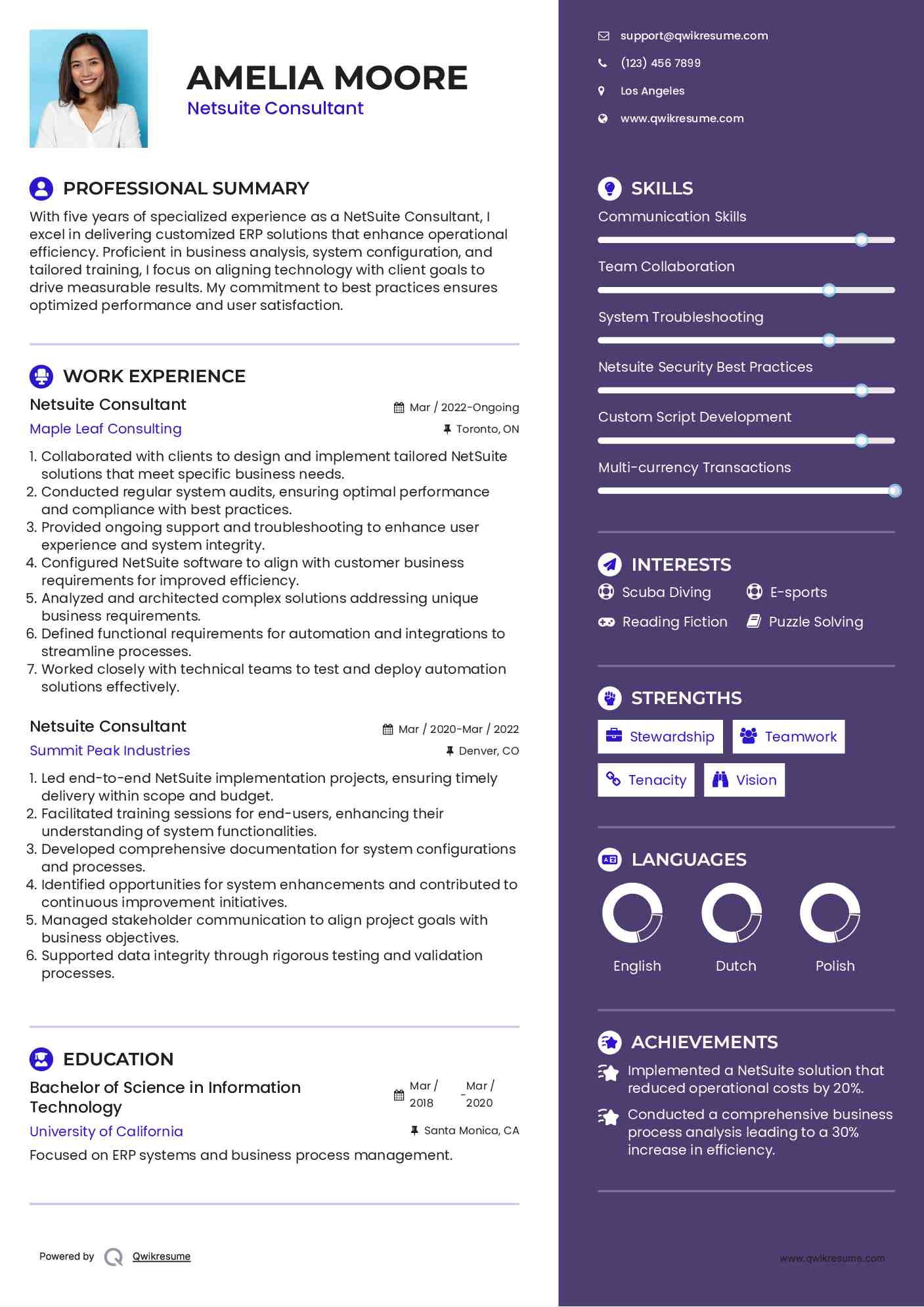 Netsuite Consultant Resume Template