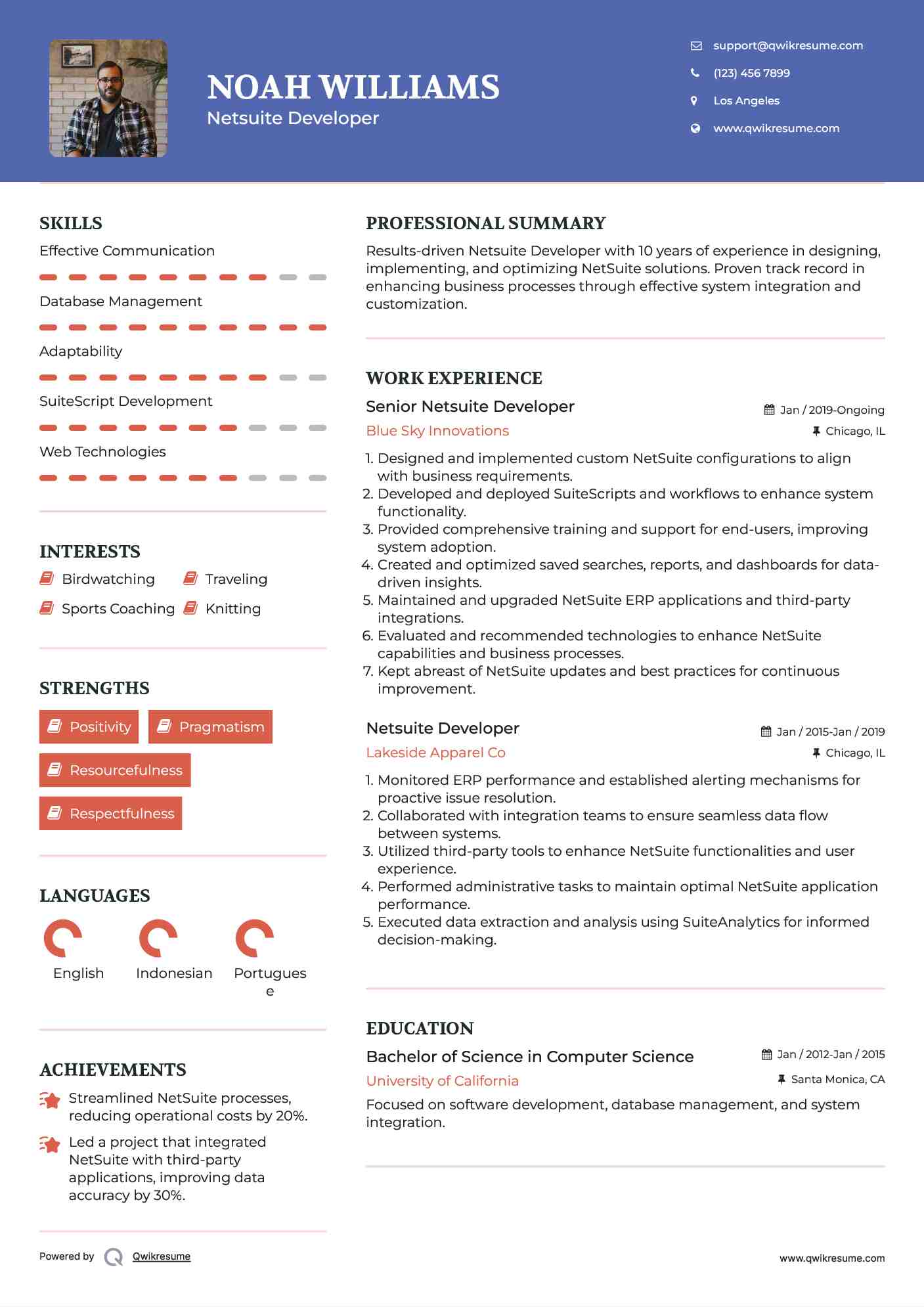 Senior Netsuite Developer Resume Sample