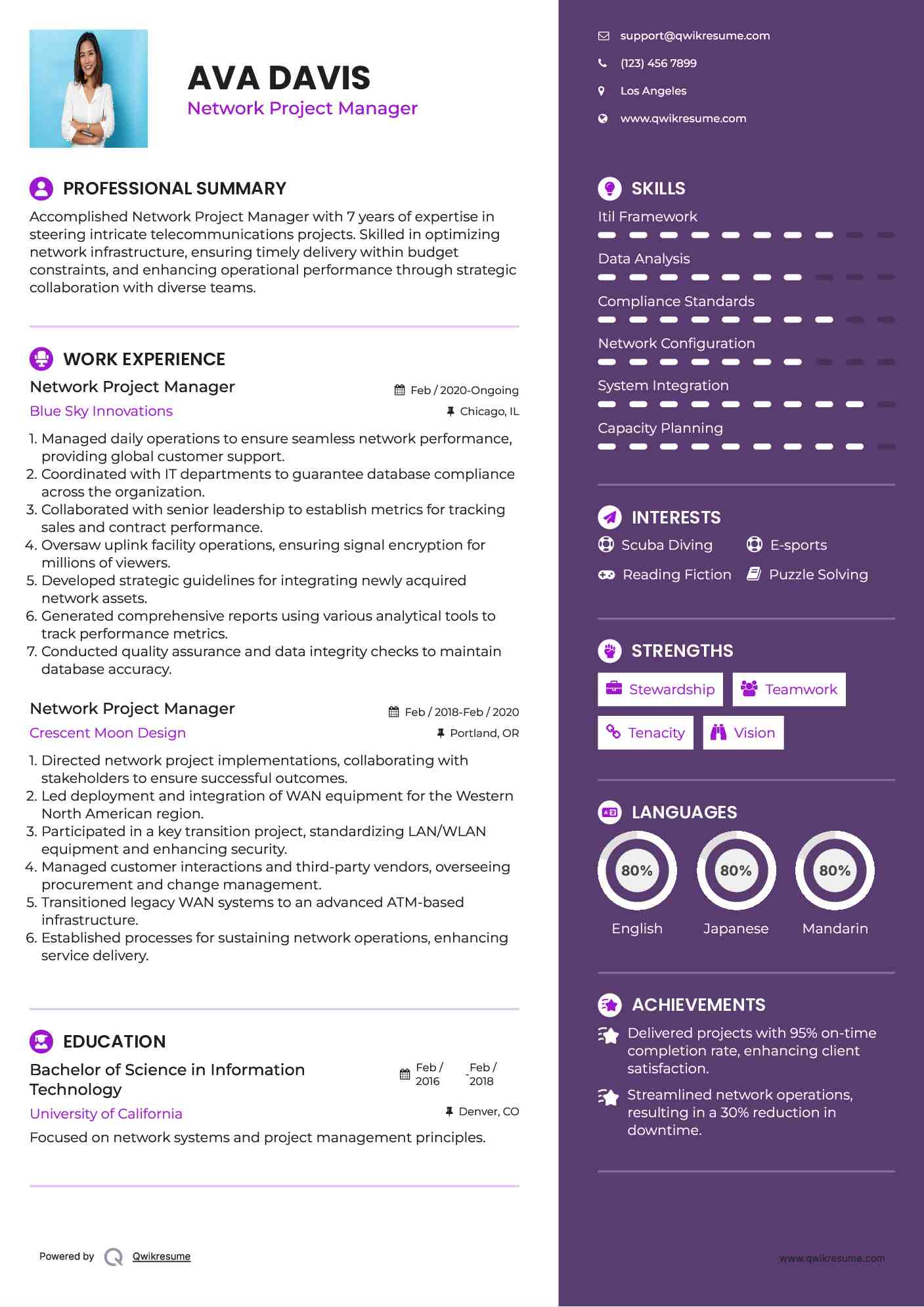 Network Project Manager Resume Model