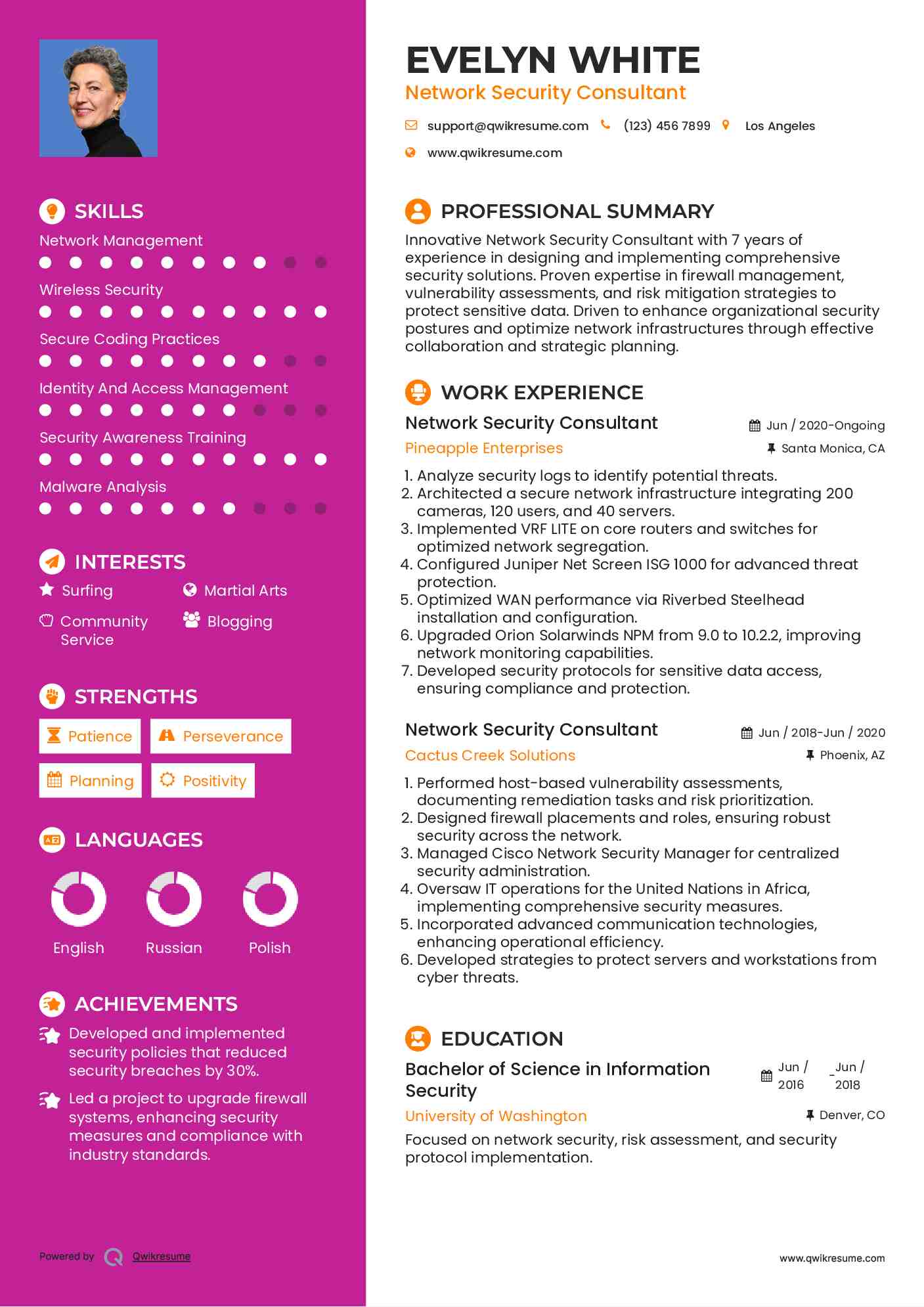 Network Security Consultant Resume Example