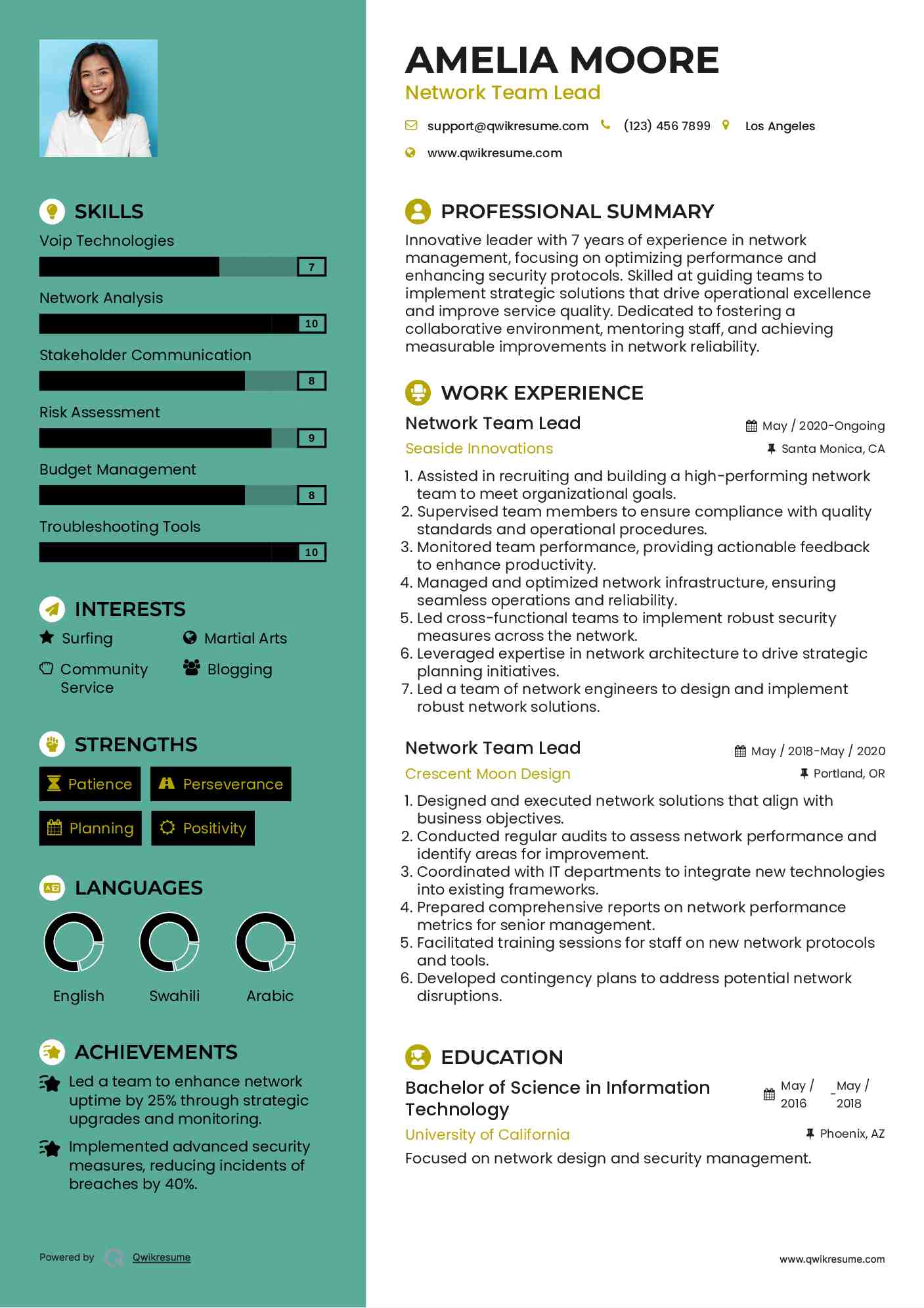Network Team Lead Resume Sample