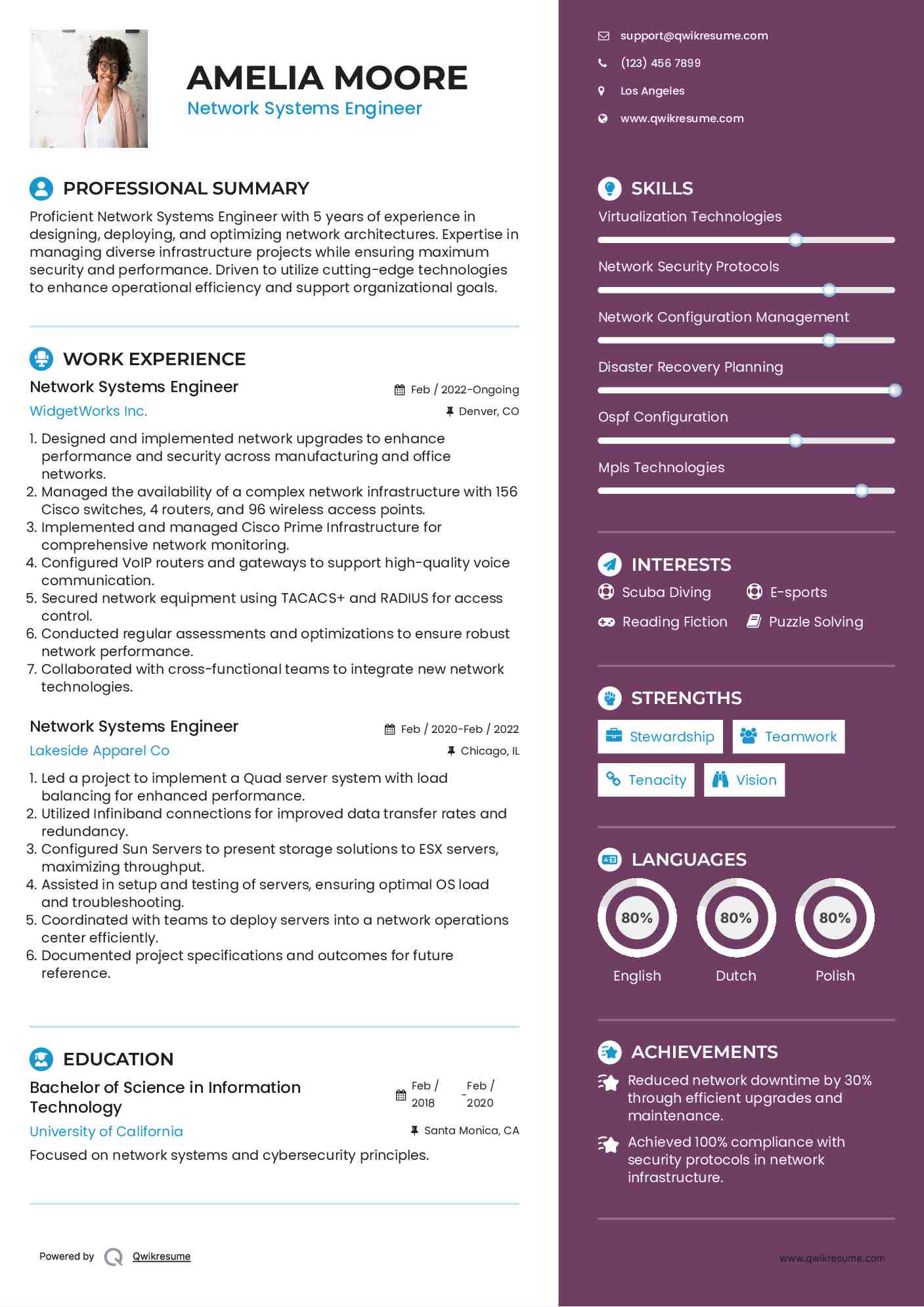 Network Systems Engineer Resume Sample