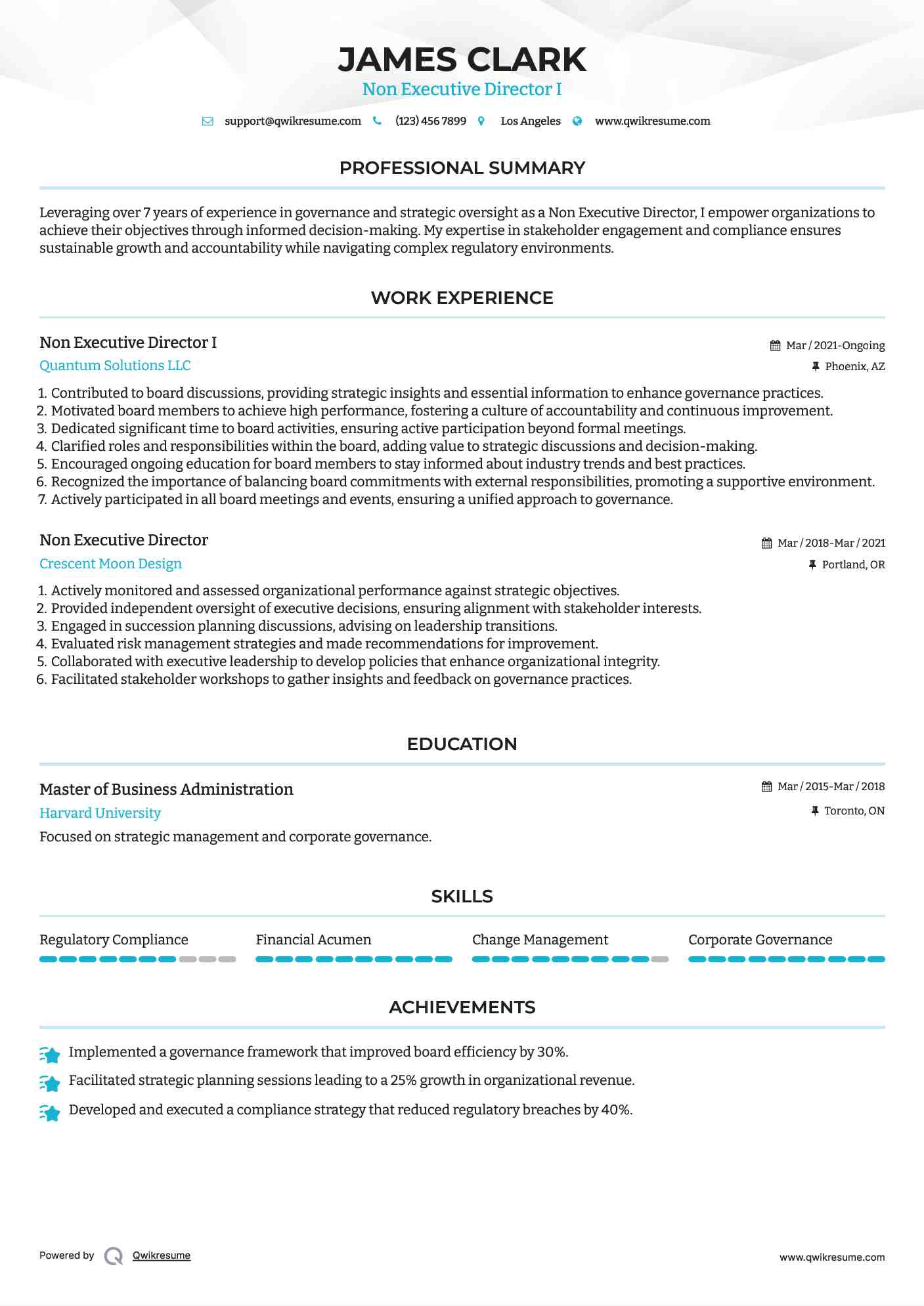 Non Executive Director I Resume Model