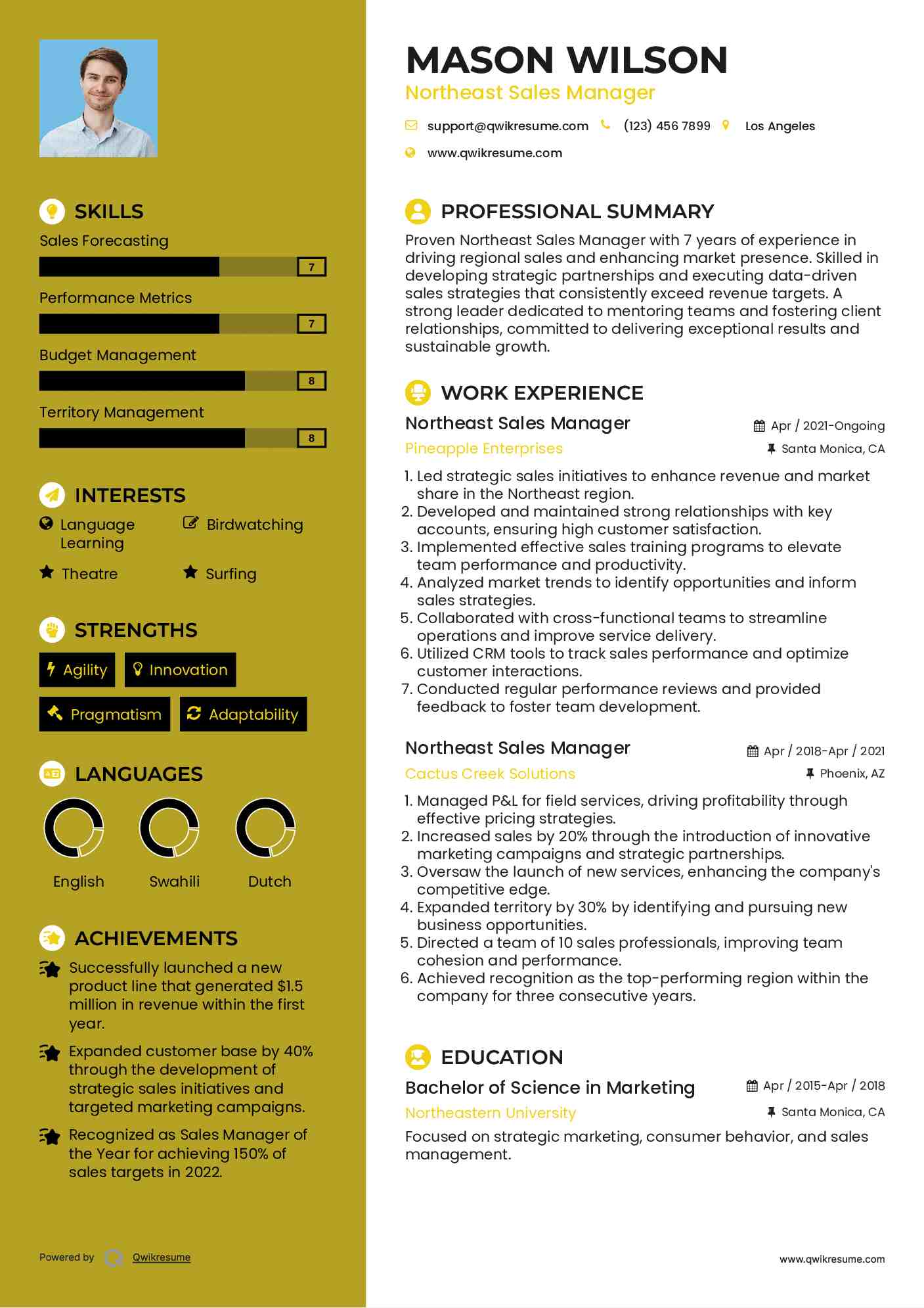 Northeast Sales Manager Resume Format