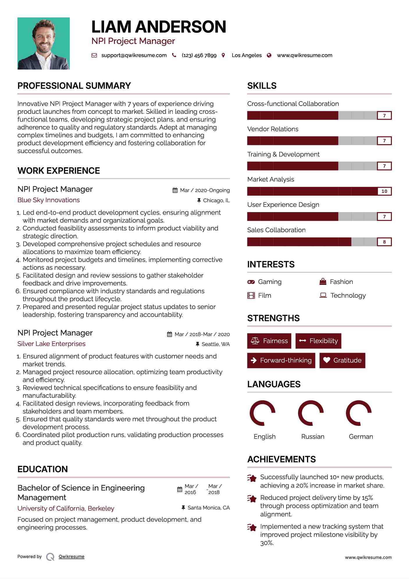 NPI Project Manager Resume Template