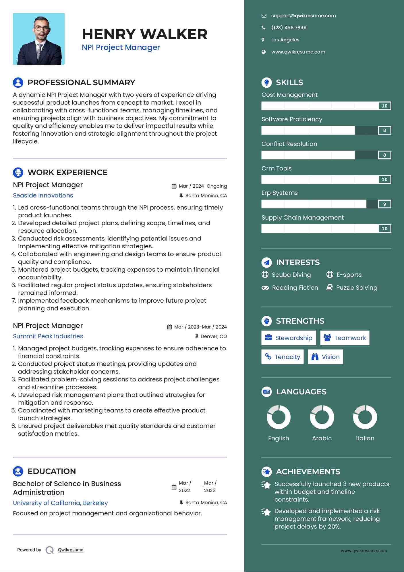 NPI Project Manager Resume Sample