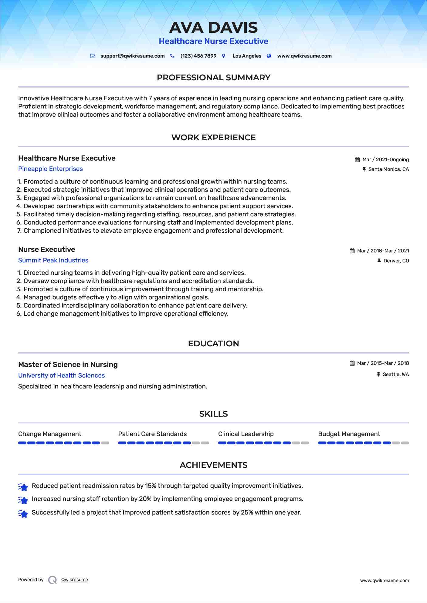 Healthcare Nurse Executive Resume Template