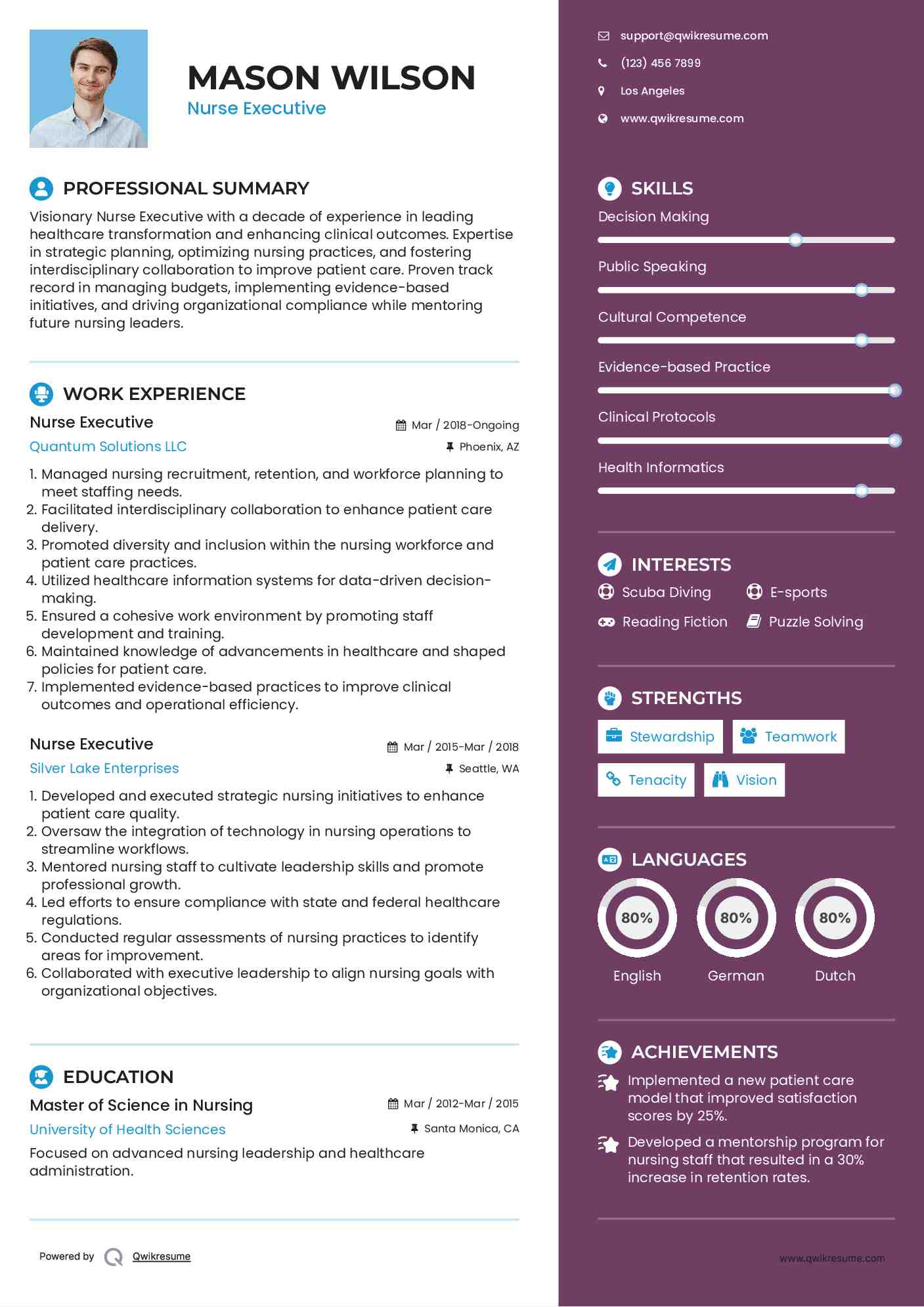 Nurse Executive Resume Model