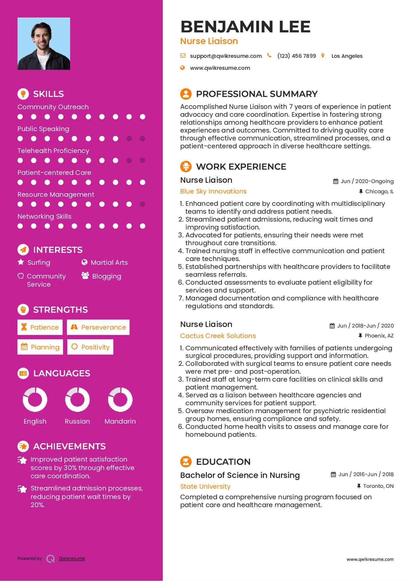 Nurse Liaison Resume Example