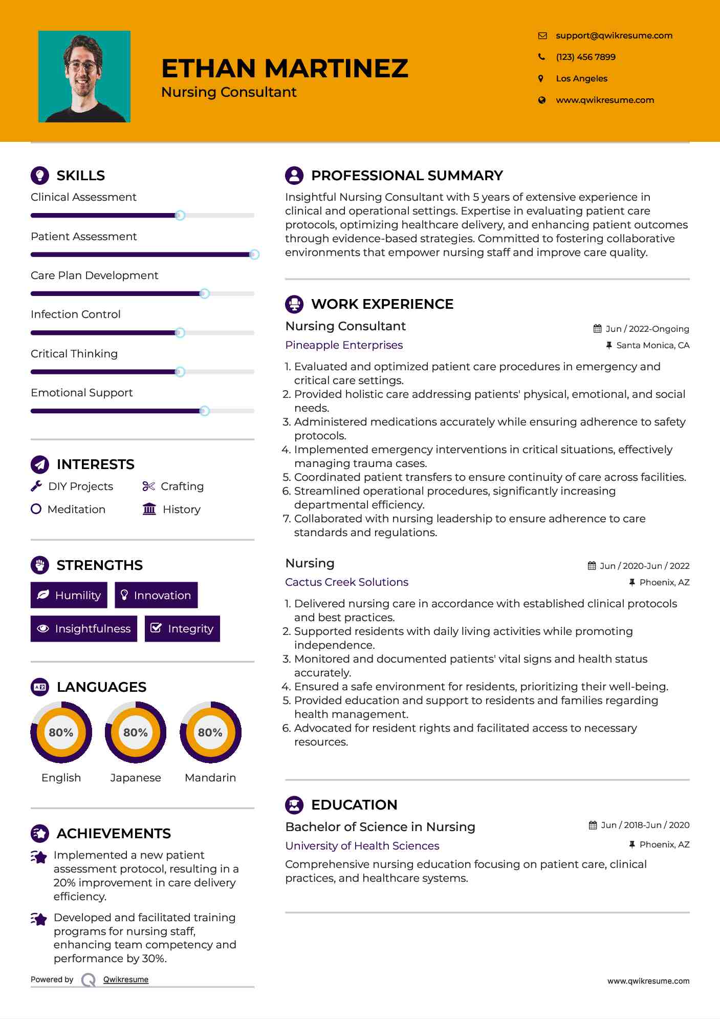 Nursing Consultant Resume Template