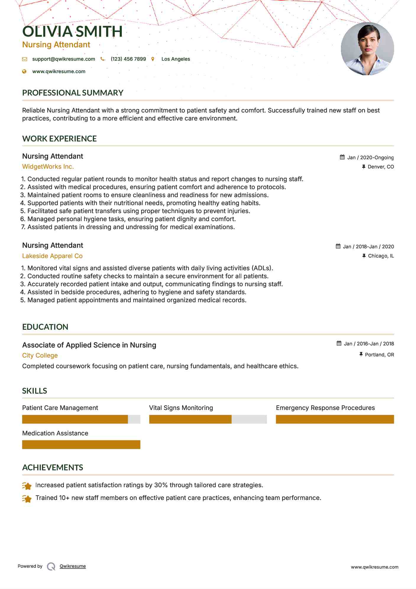 Nursing Attendant Resume Model