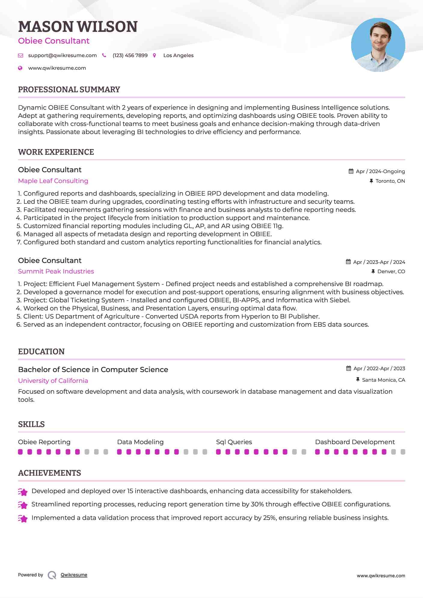 Obiee Consultant Resume Format