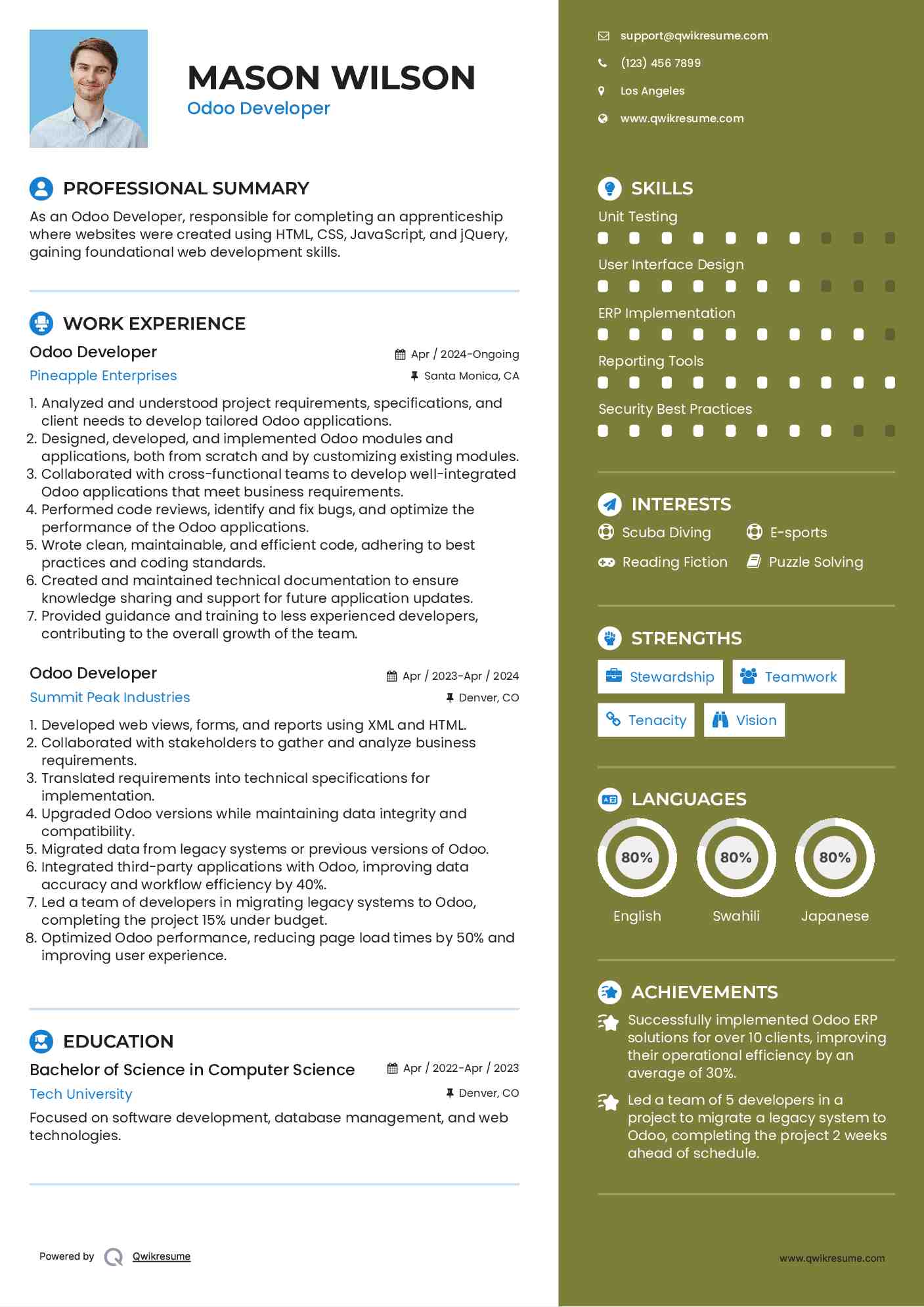 Odoo Developer Resume Template