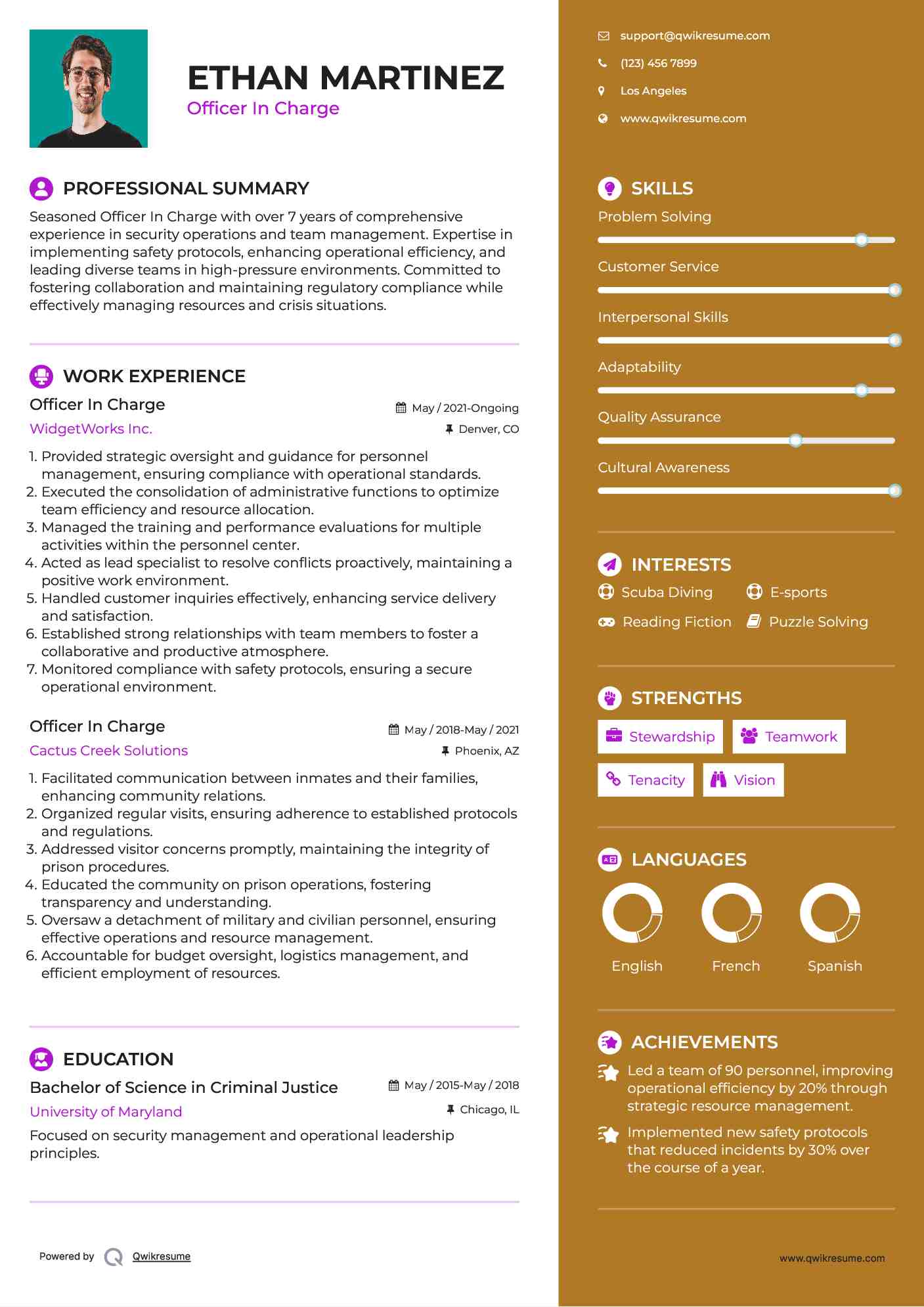 Officer In Charge Resume Model