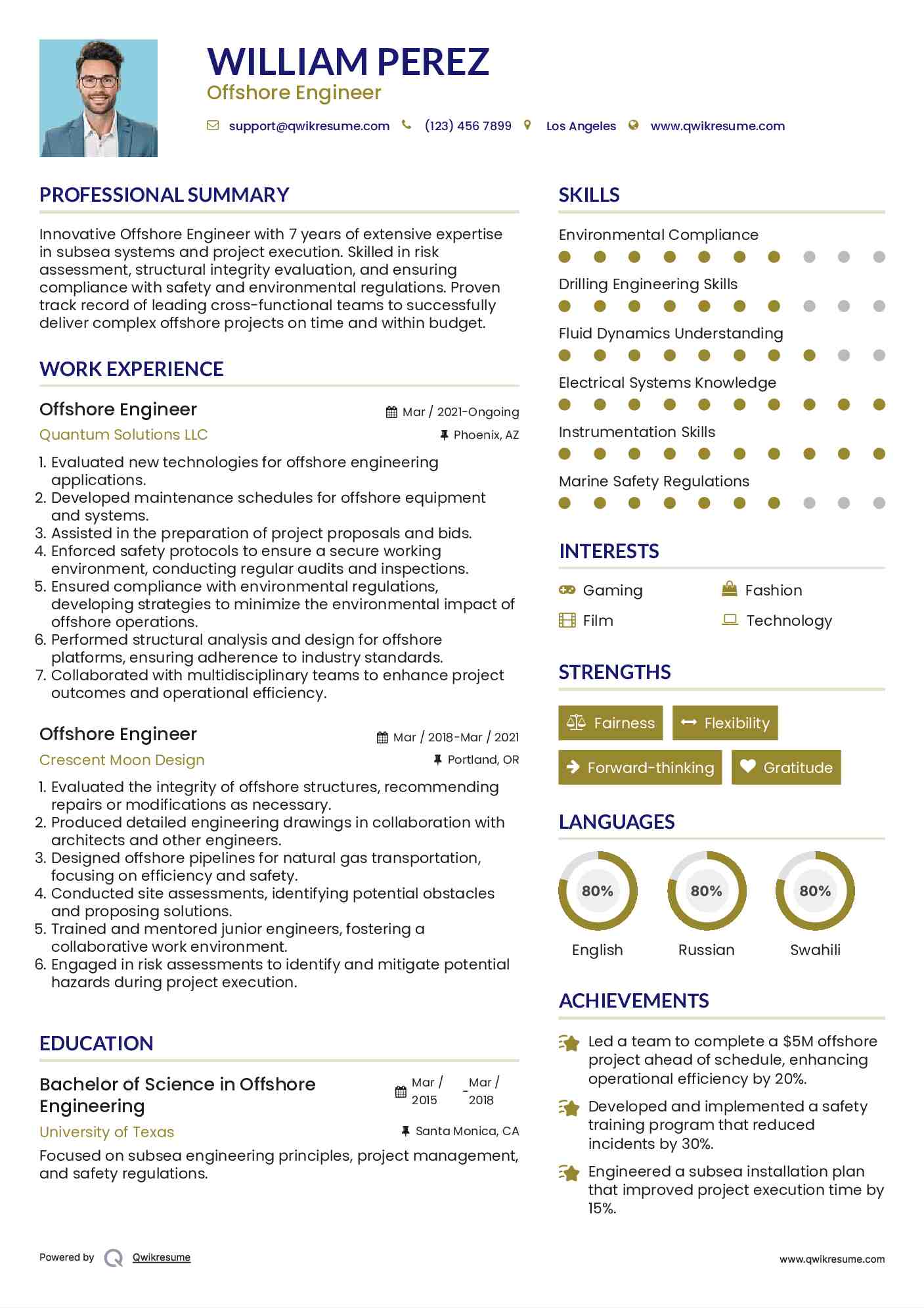 Offshore Engineer Resume Model