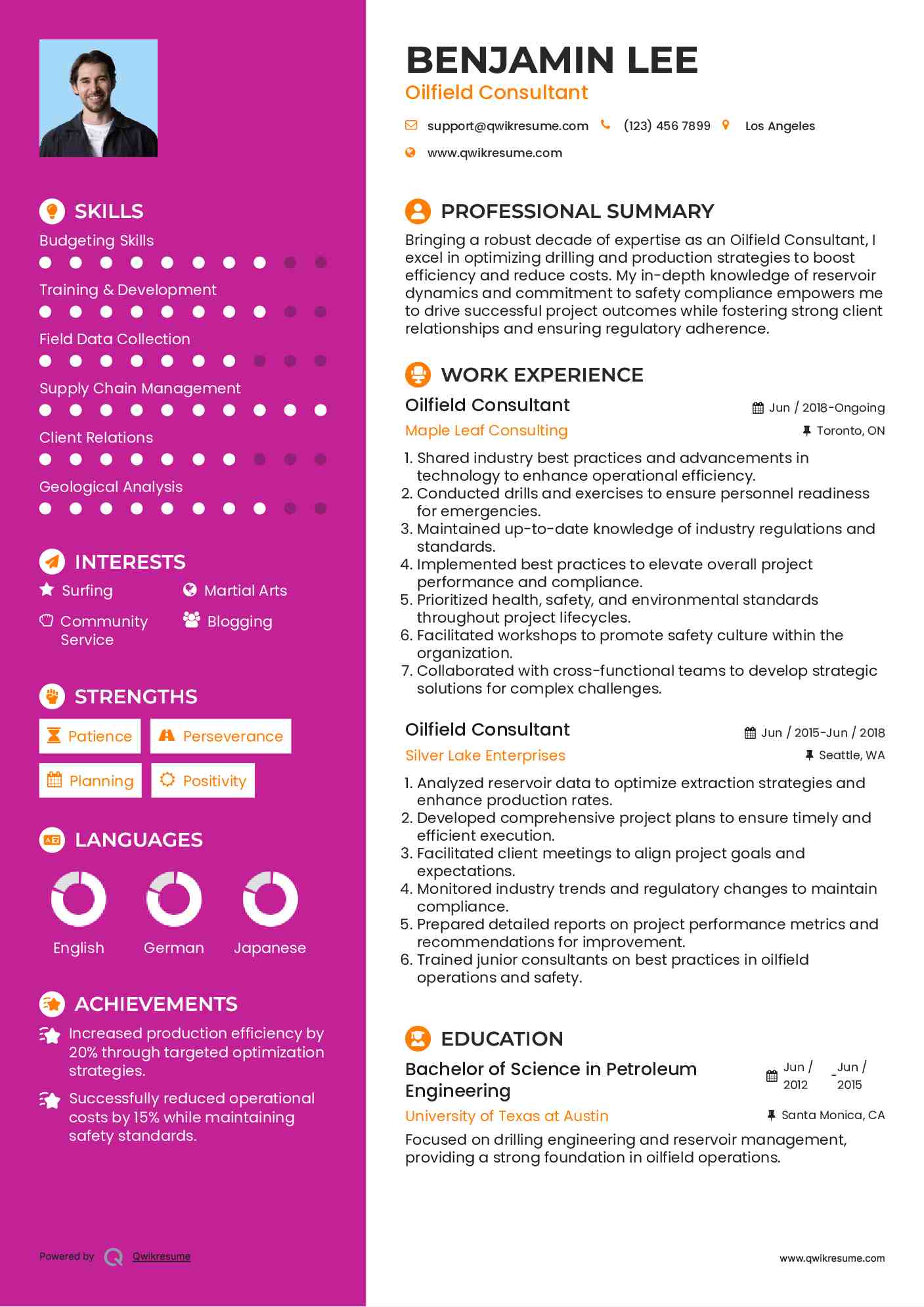 Oilfield Consultant Resume Format