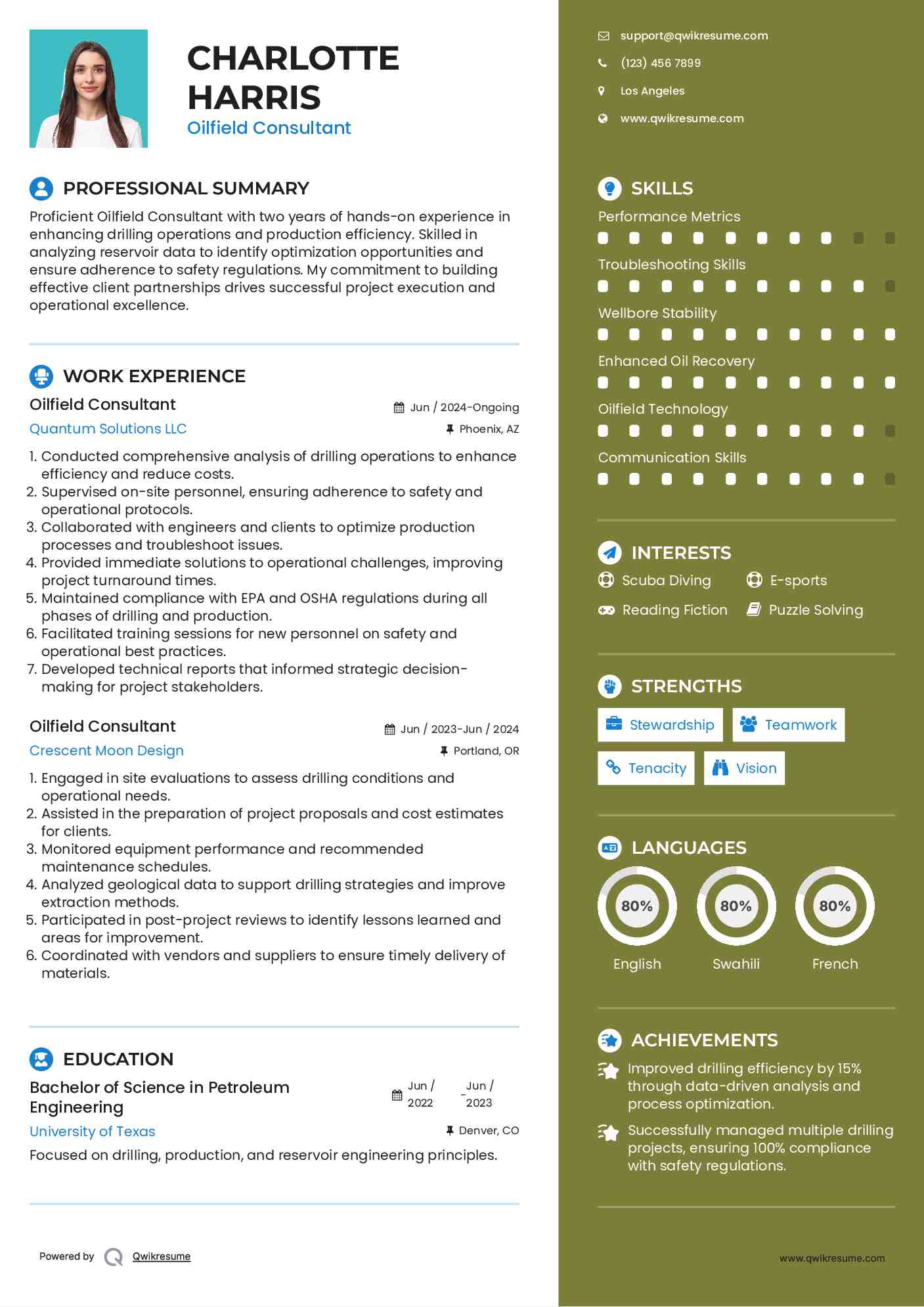 Oilfield Consultant Resume Example