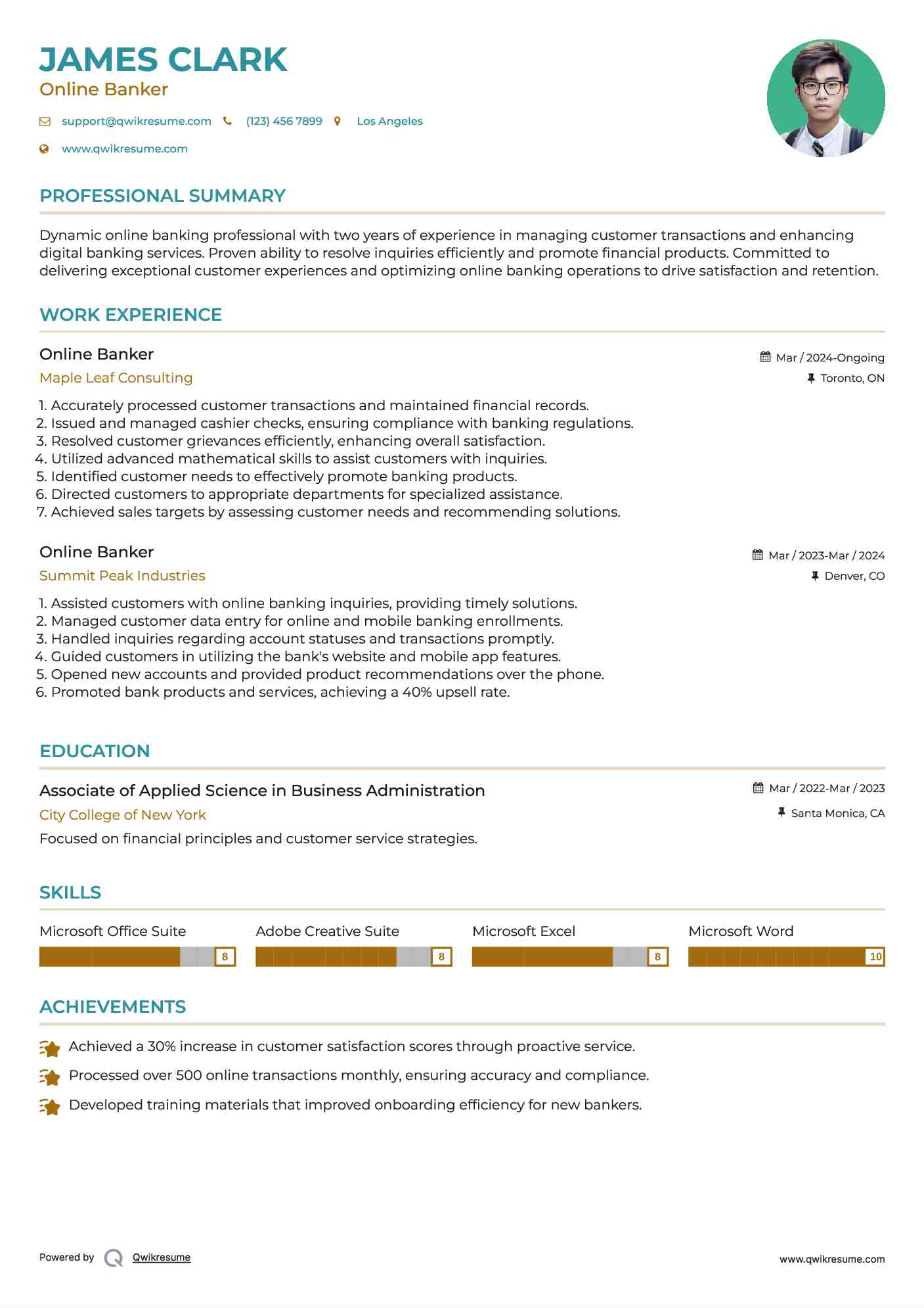 Online Banker Resume Sample