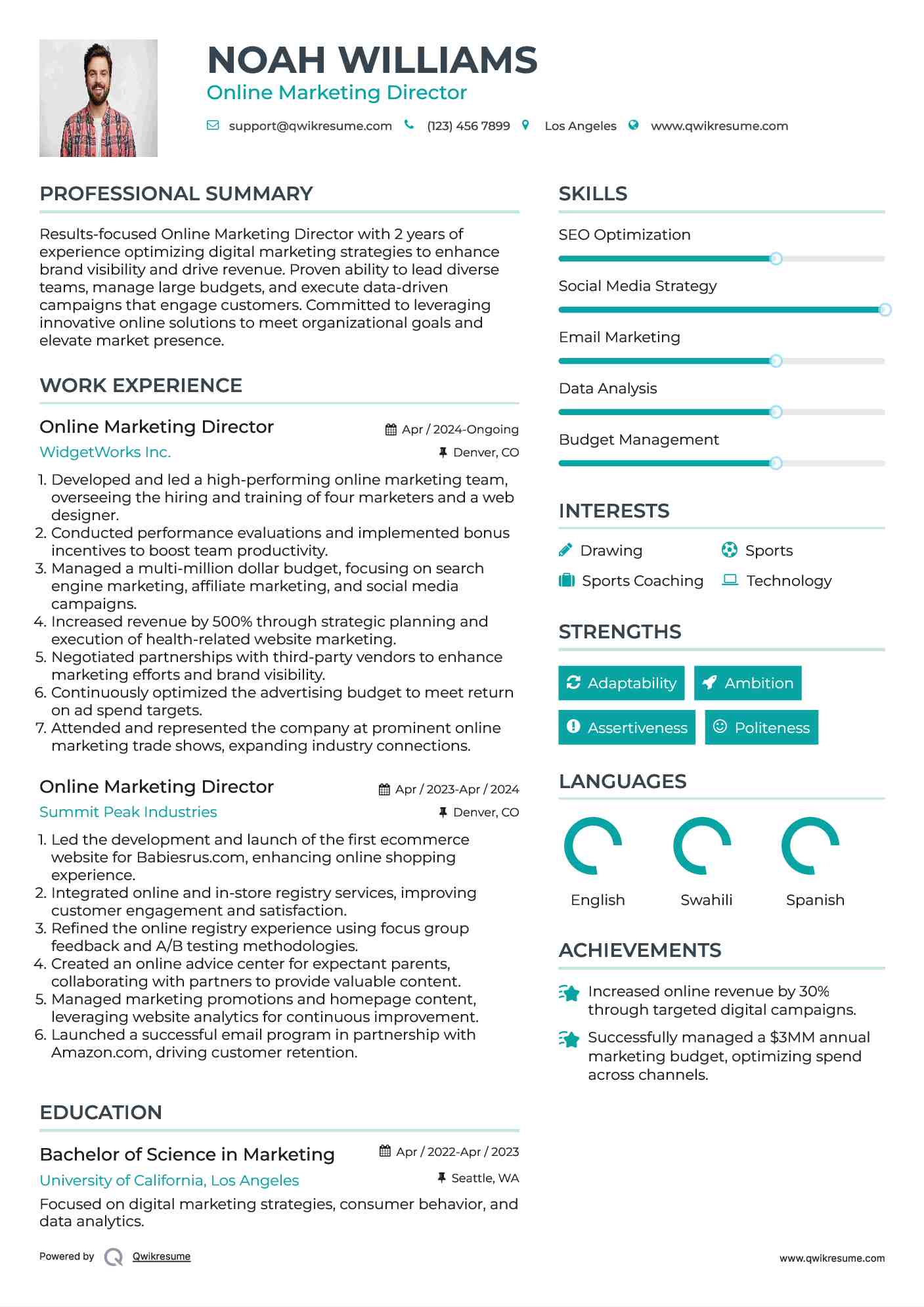 Online Marketing Director Resume Model